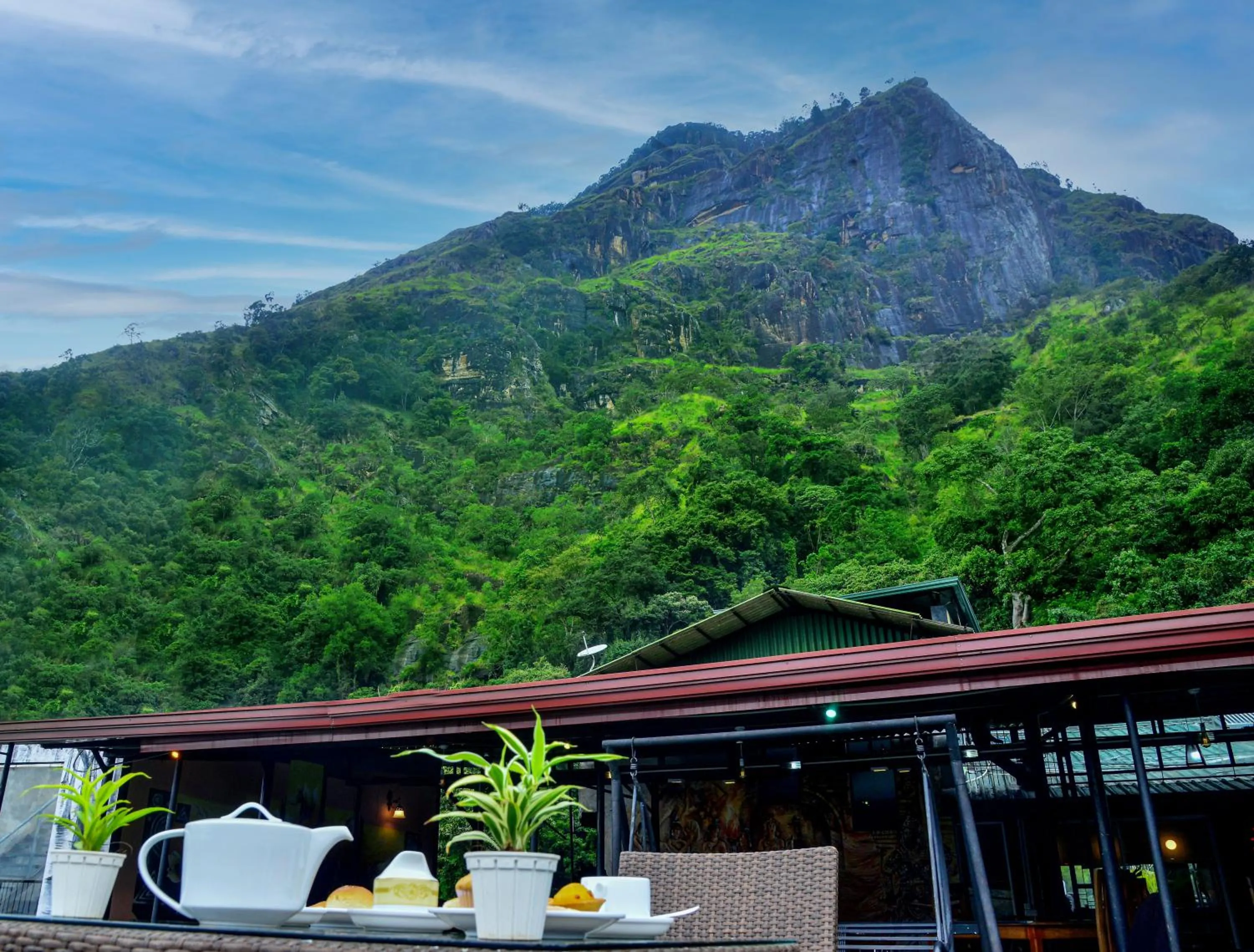 Mountain view in Ella Mount Heaven