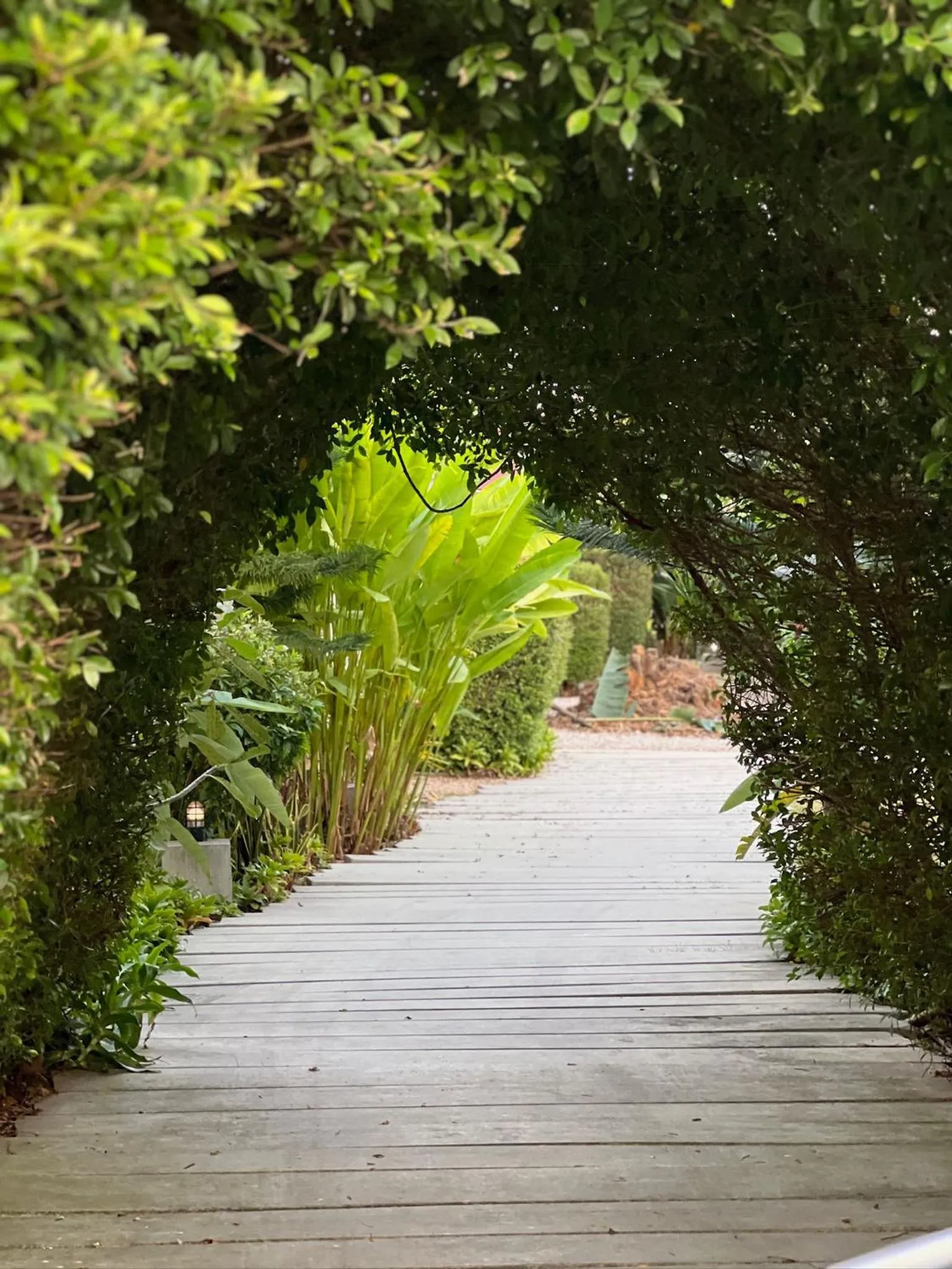 Facade/entrance in The Canopy Krabi