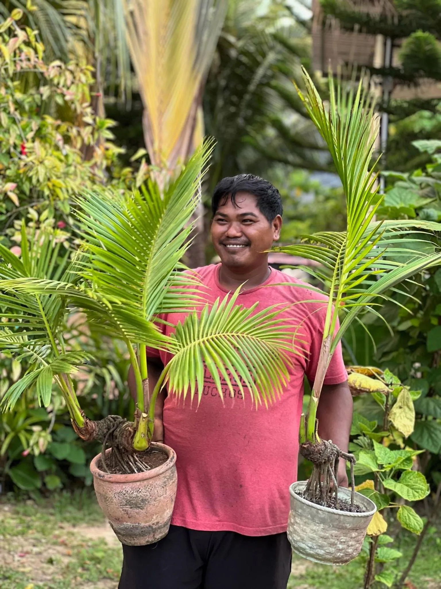 Natural landscape in The Canopy Krabi