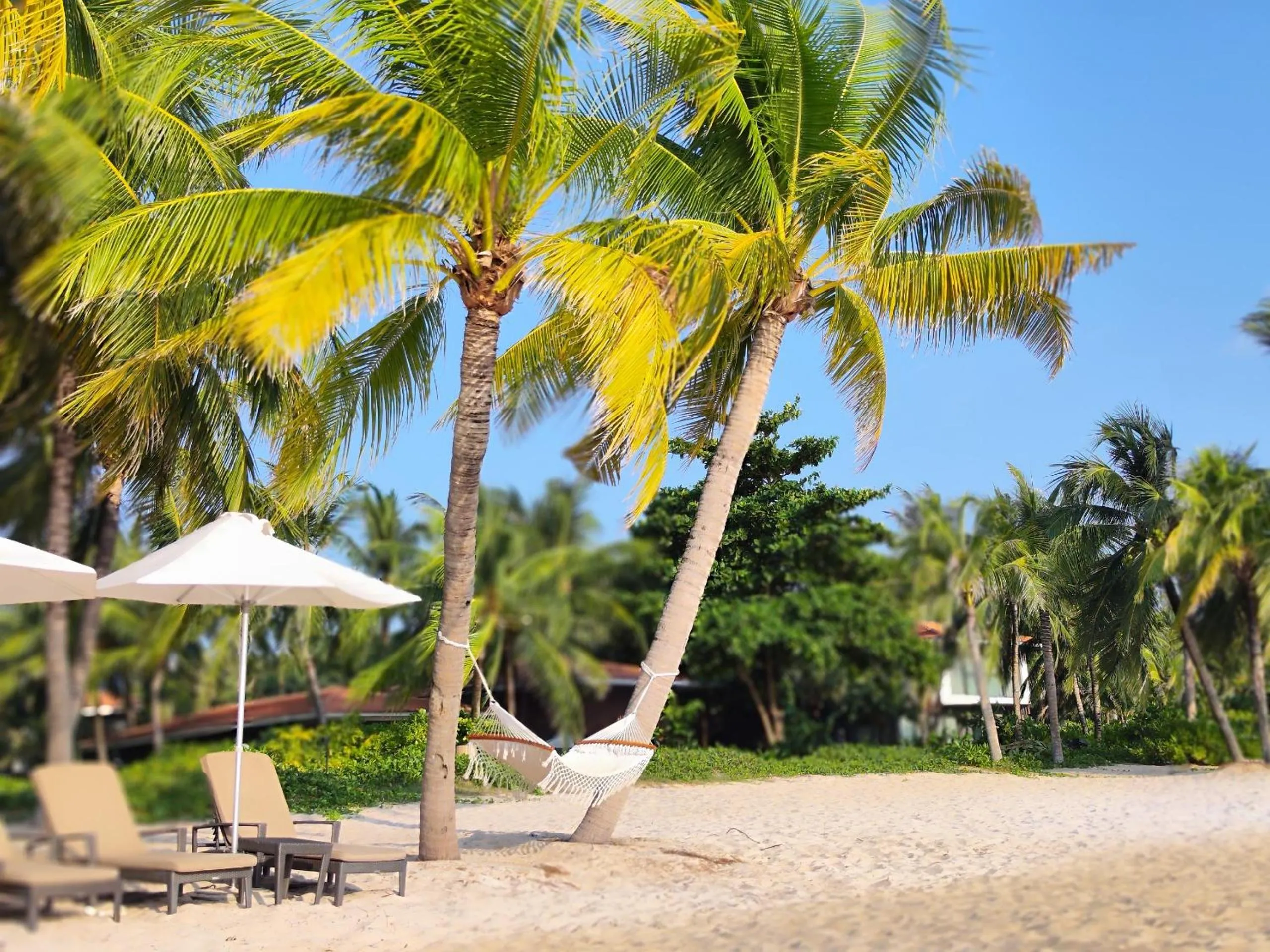 Natural landscape in Stella Marina Boutique Hotel