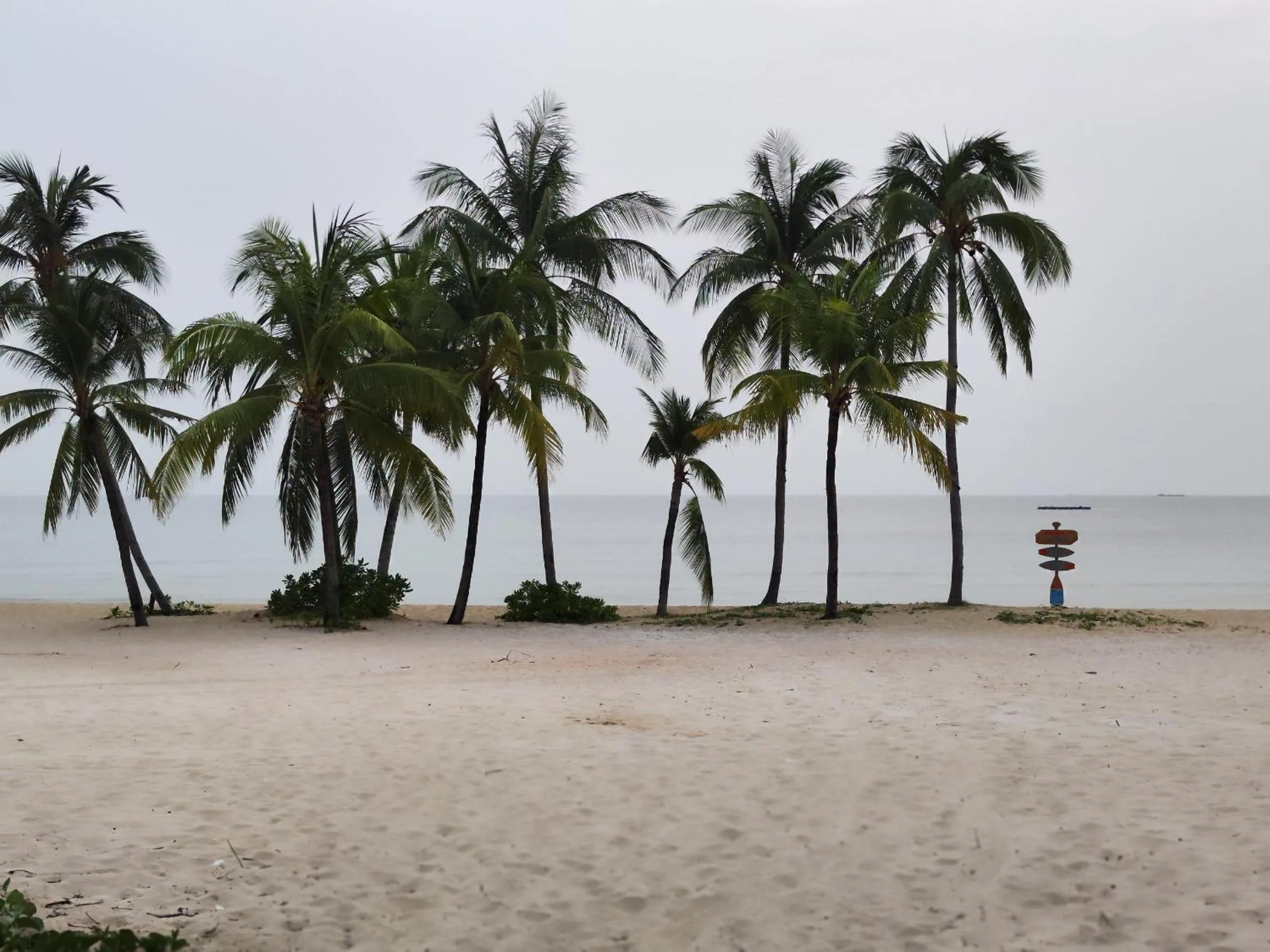Natural landscape in Stella Marina Boutique Hotel