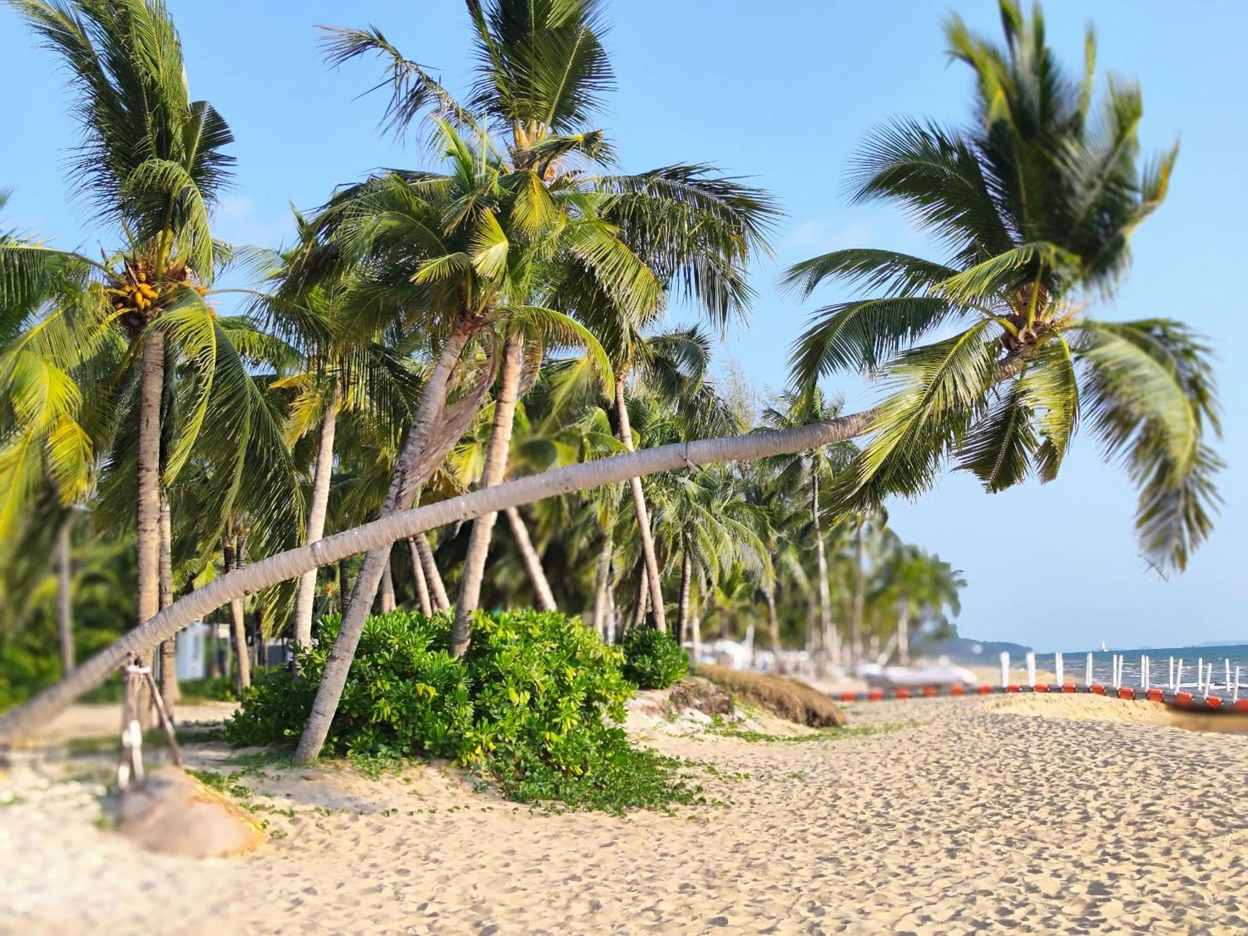 Natural landscape in Stella Marina Boutique Hotel