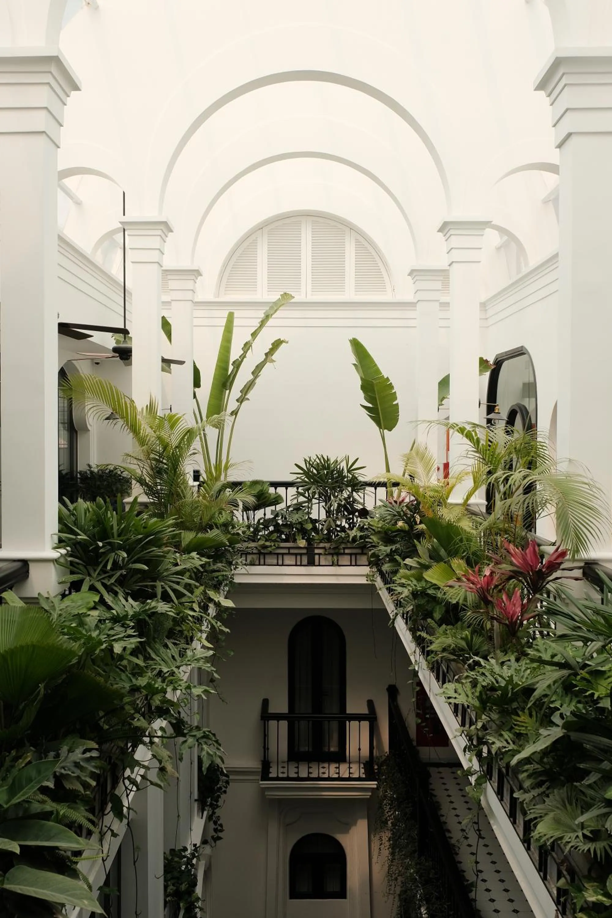 Garden in Paul Chabot Hotel