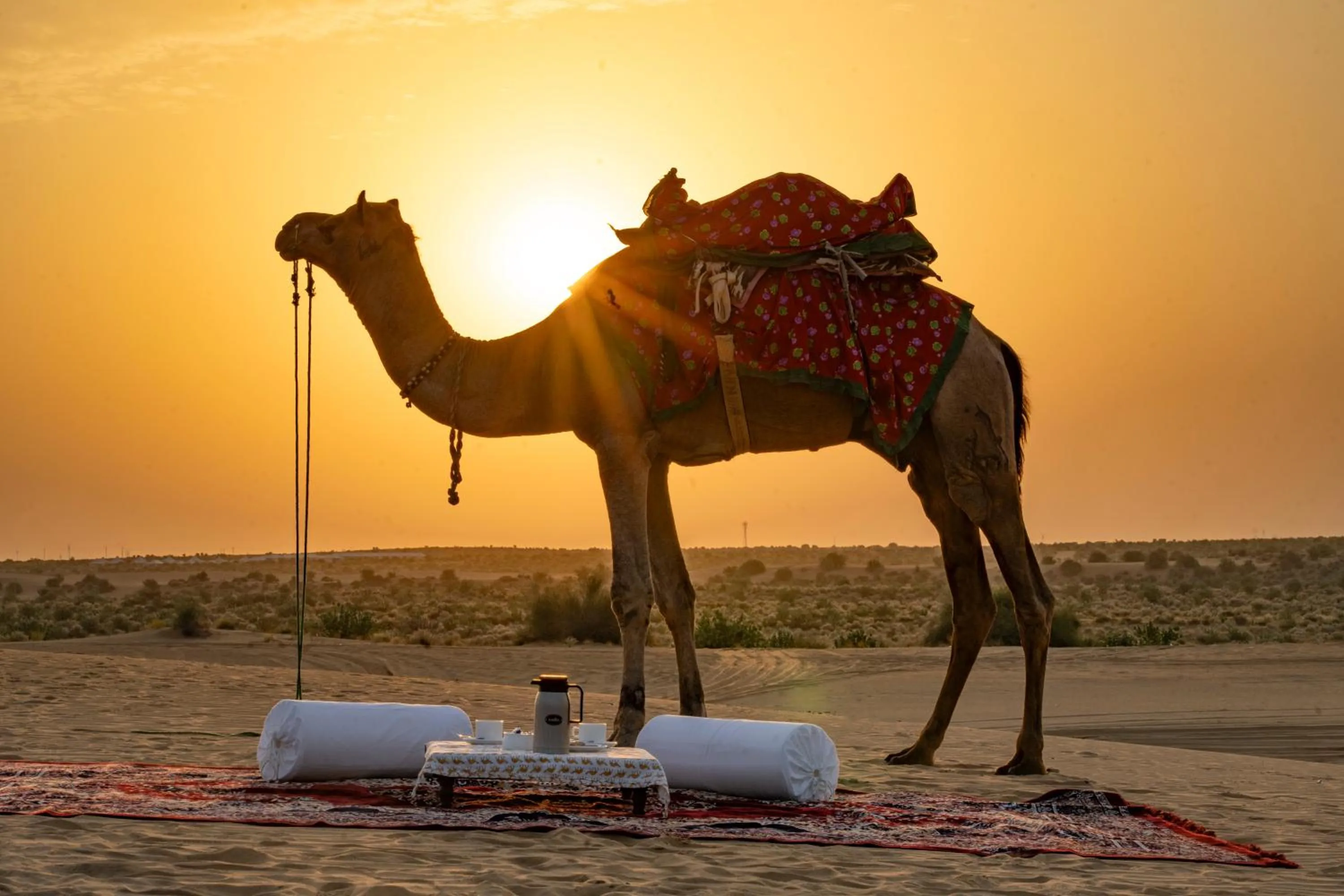 Natural landscape in Marugarh Camp and Resort Jaisalmer