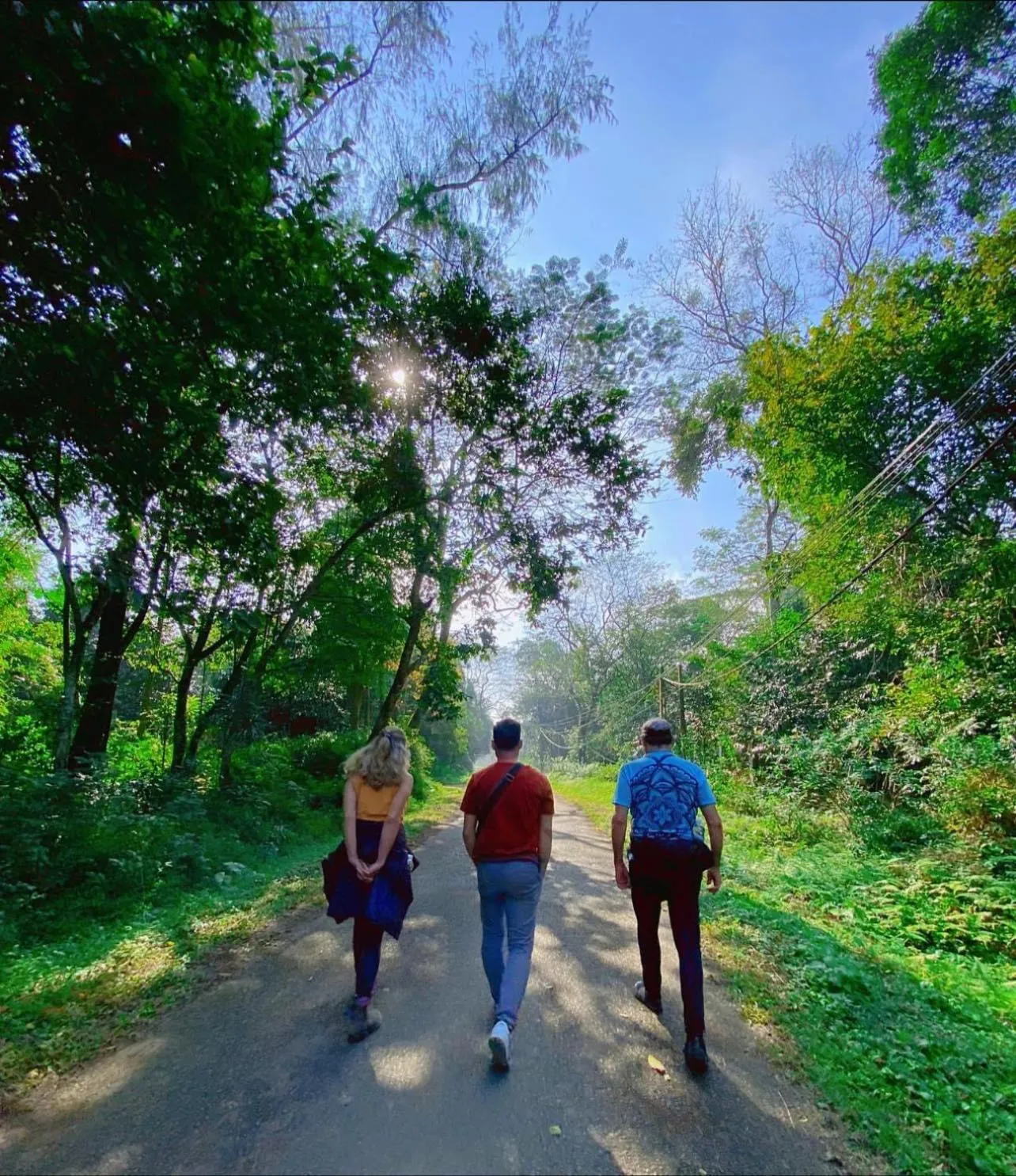 Natural landscape in Ninh Binh Family Homestay