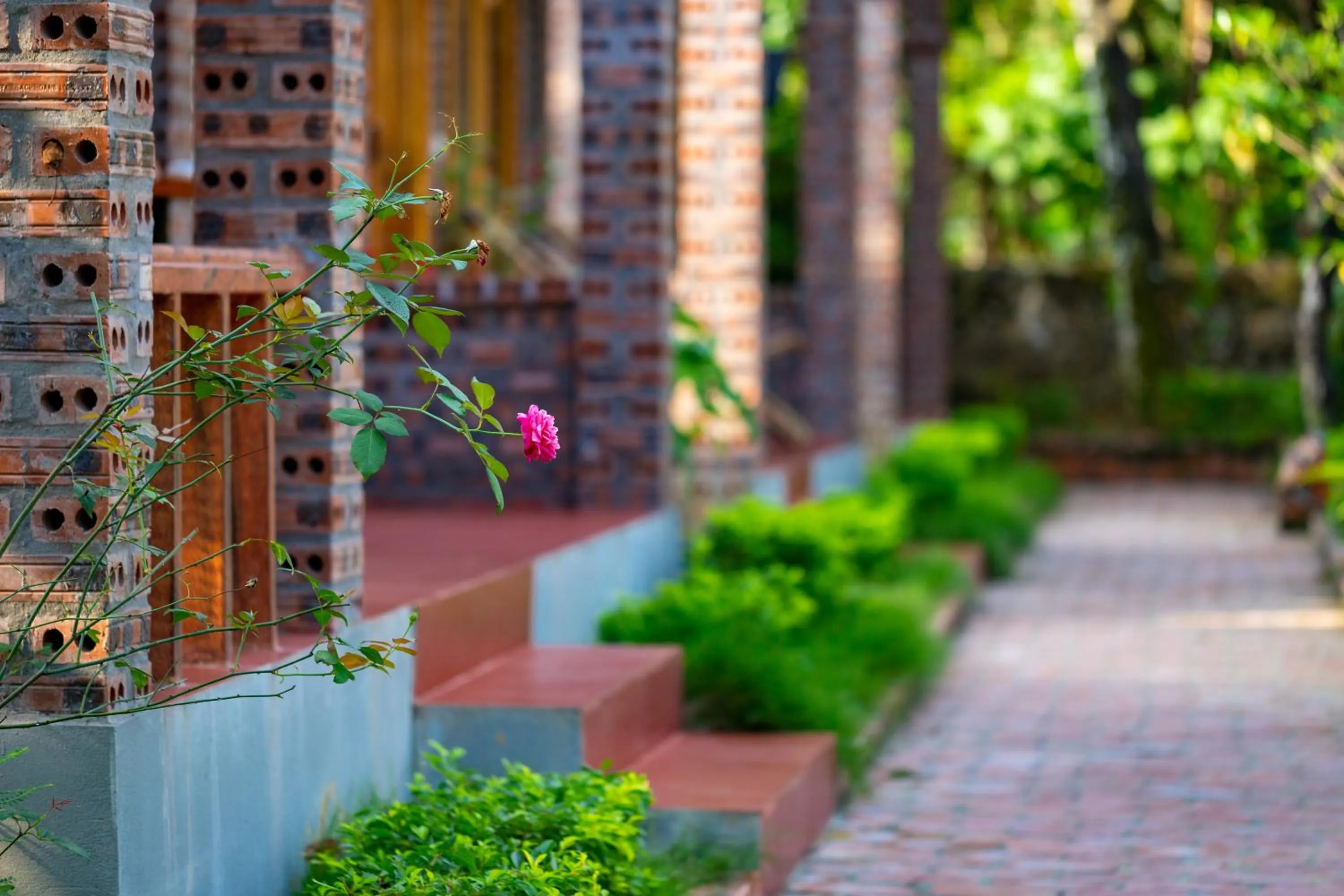 Garden view in Ninh Binh Family Homestay