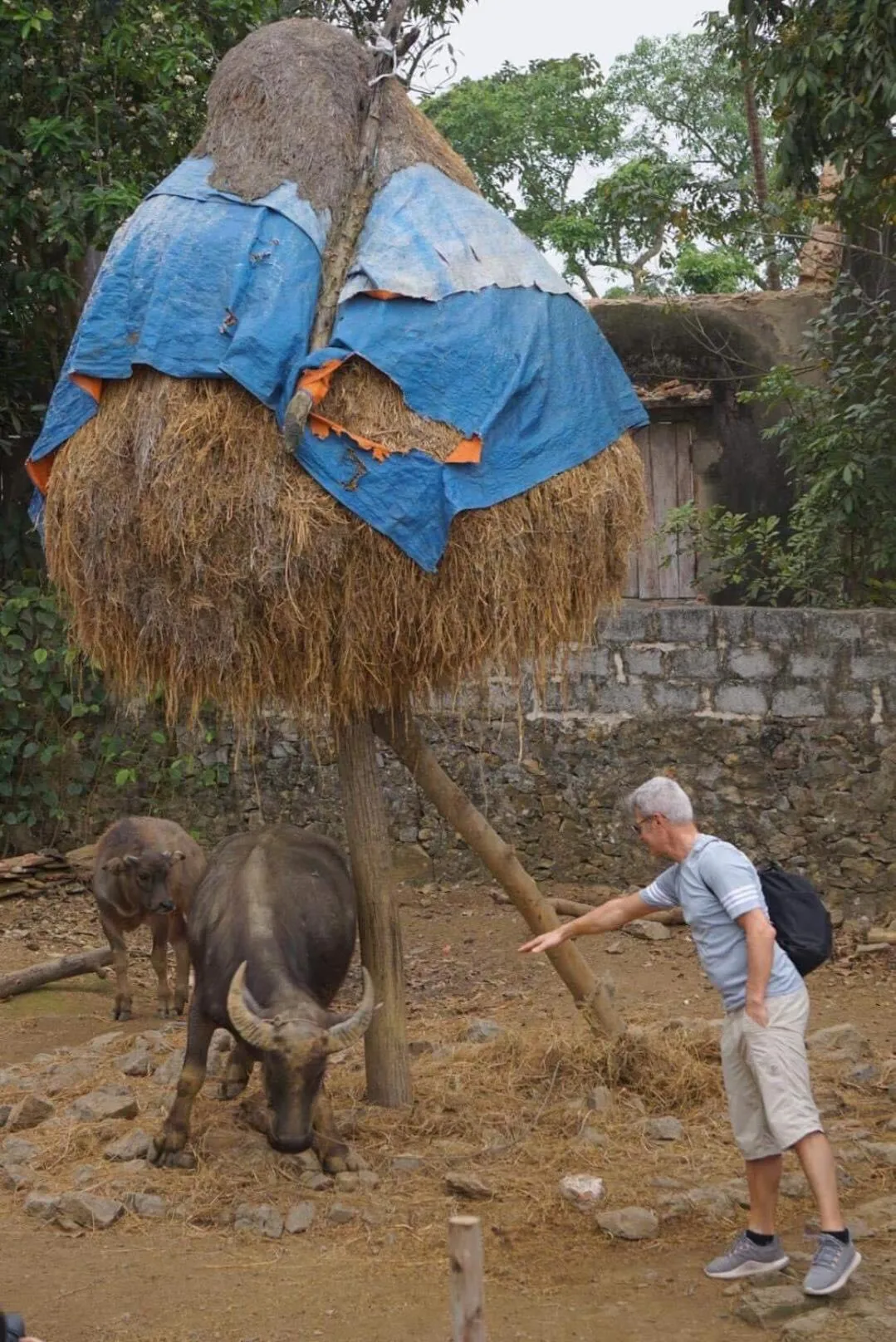Animals in Ninh Binh Family Homestay