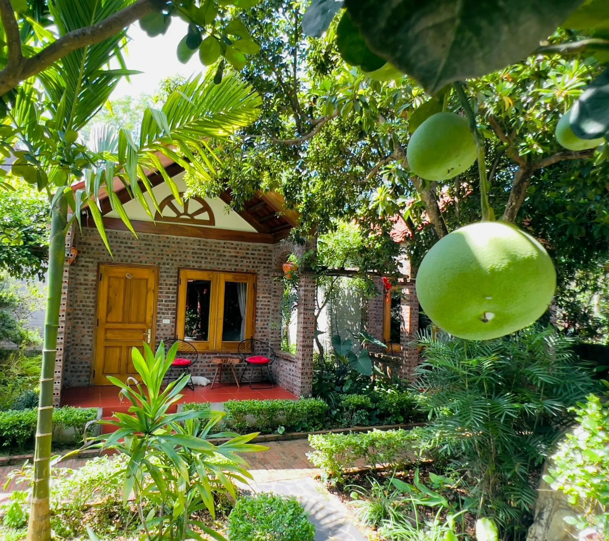 Property building in Ninh Binh Family Homestay