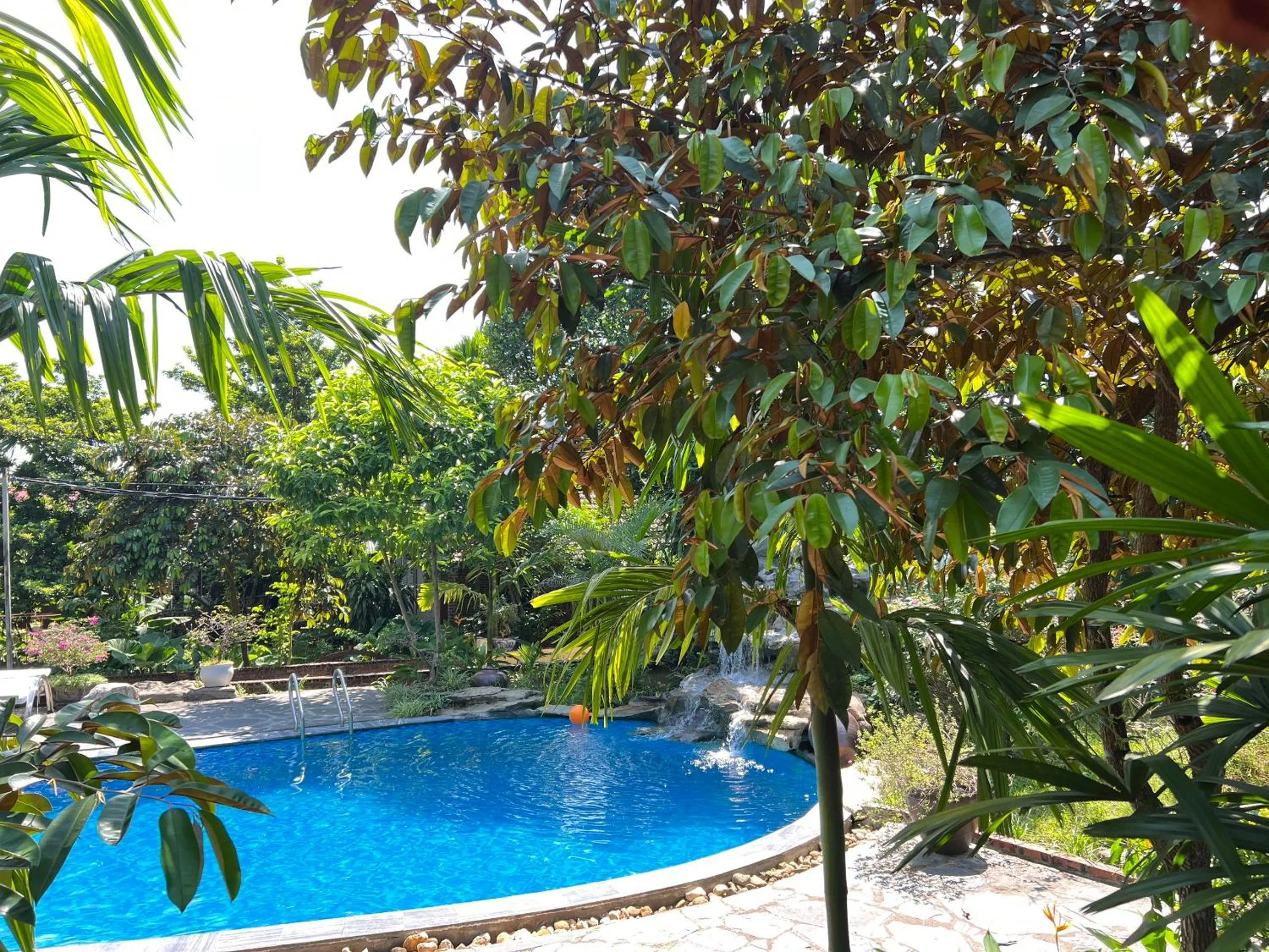 Pool view in Ninh Binh Family Homestay