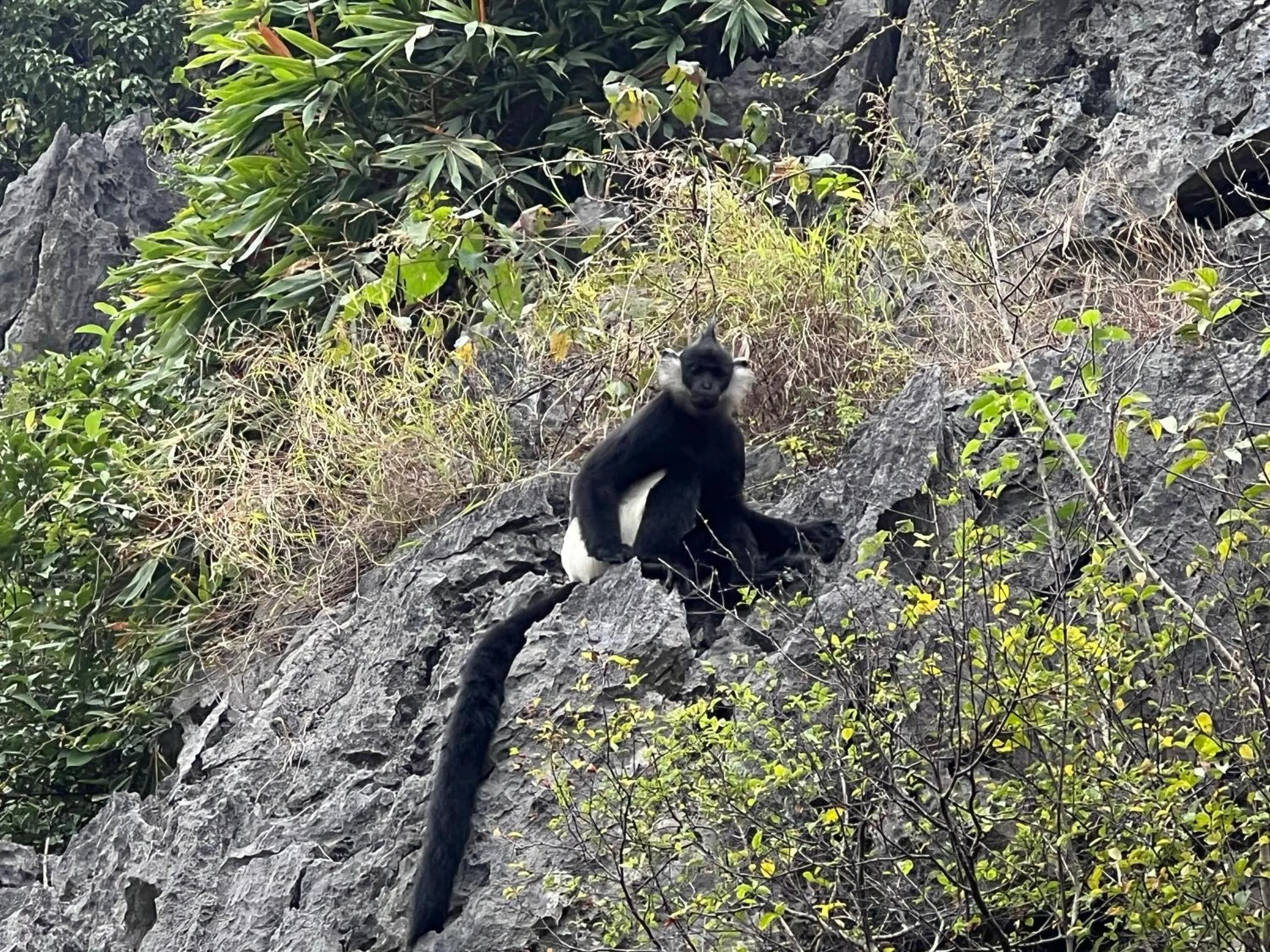 Natural landscape in Ninh Binh Family Homestay