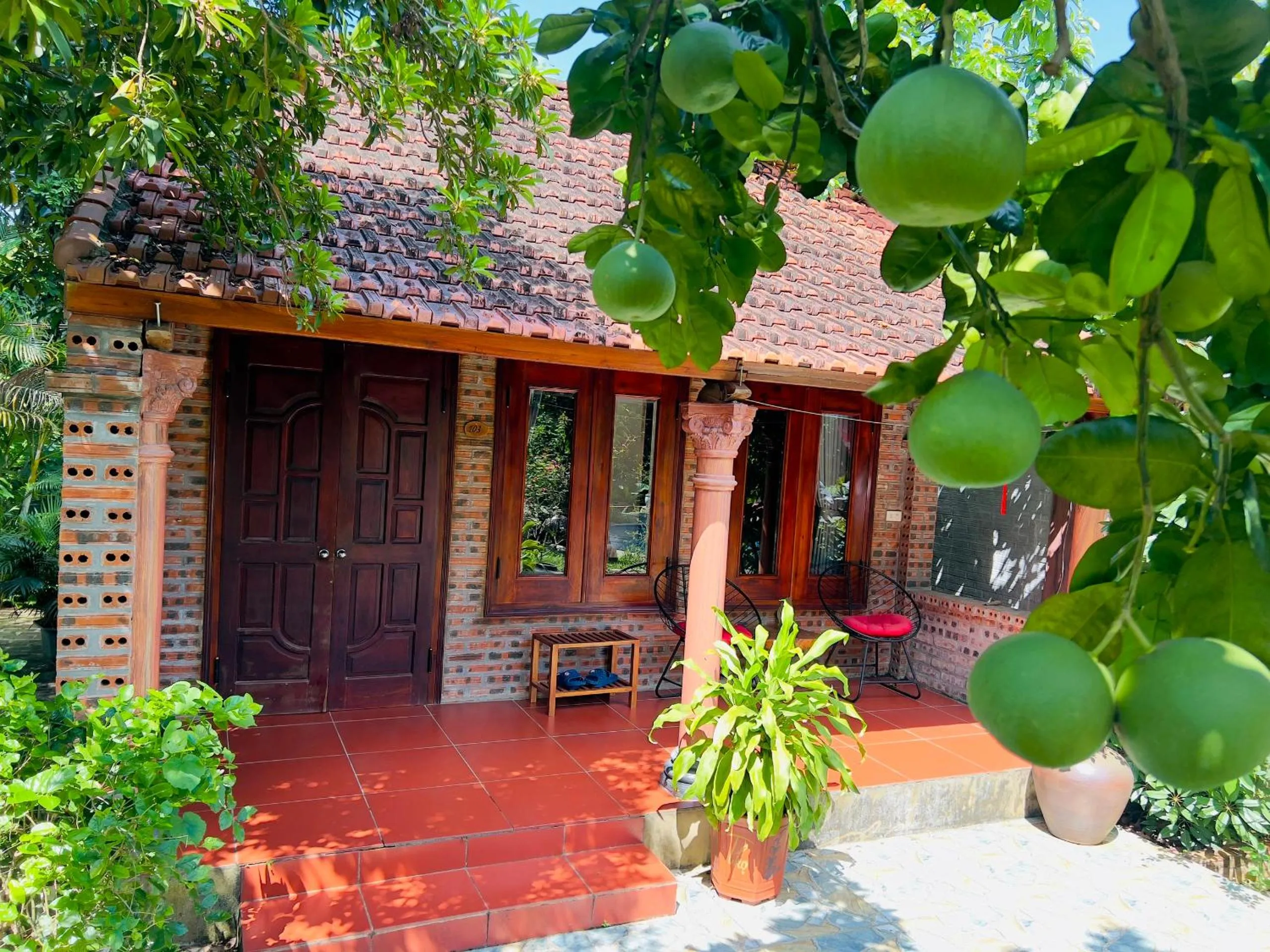 Garden view in Ninh Binh Family Homestay