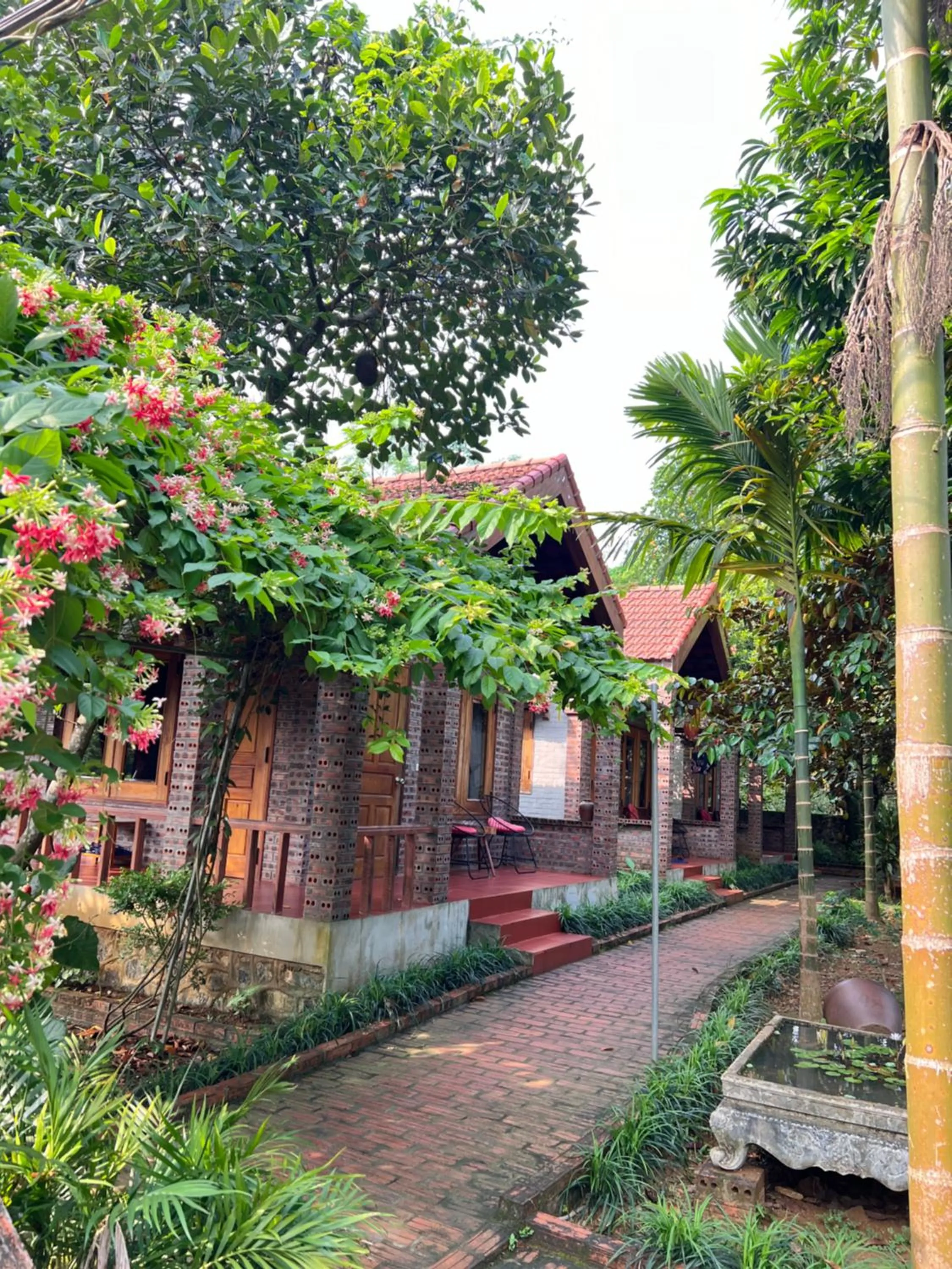 Quiet street view in Ninh Binh Family Homestay