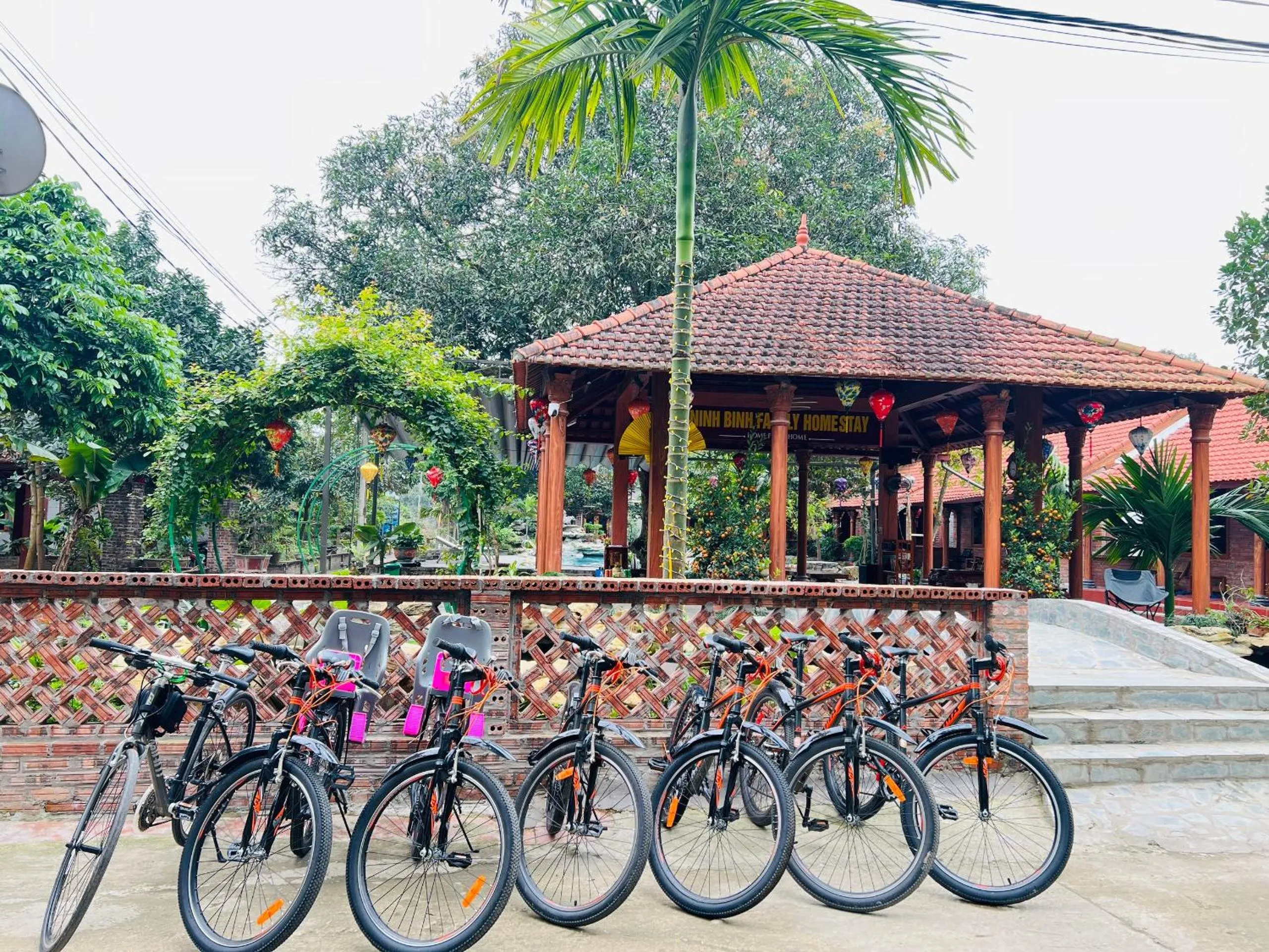 Day in Ninh Binh Family Homestay