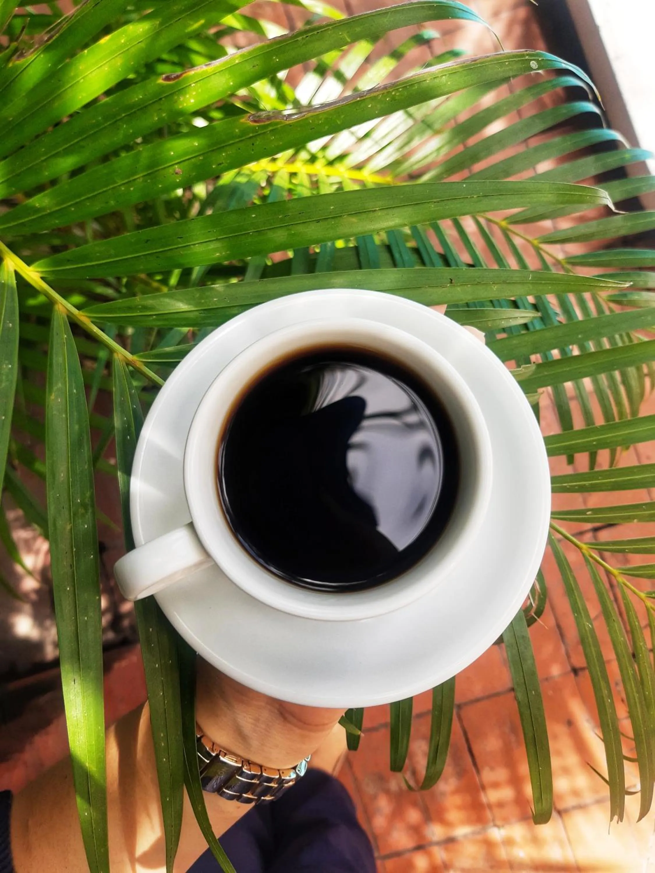 Food and drinks in Suites & Apartments San Benito - Zona Rosa