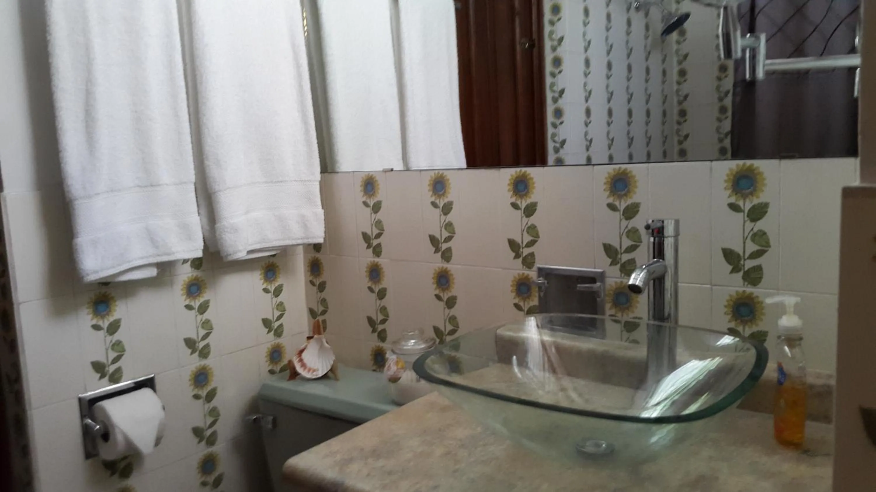 Bathroom in Suites & Apartments San Benito - Zona Rosa