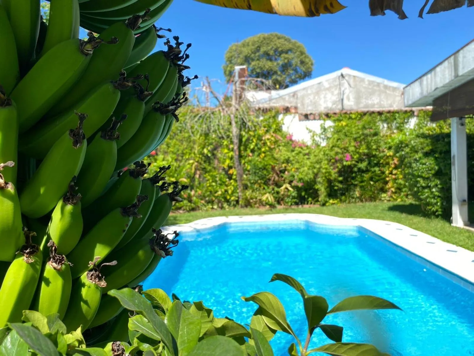 Swimming pool in Suites & Apartments San Benito - Zona Rosa