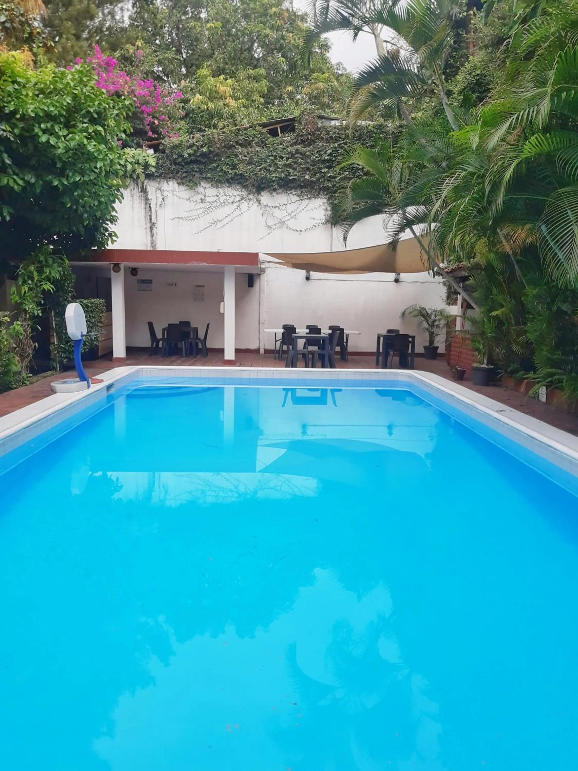 Balcony/Terrace in Suites & Apartments San Benito - Zona Rosa