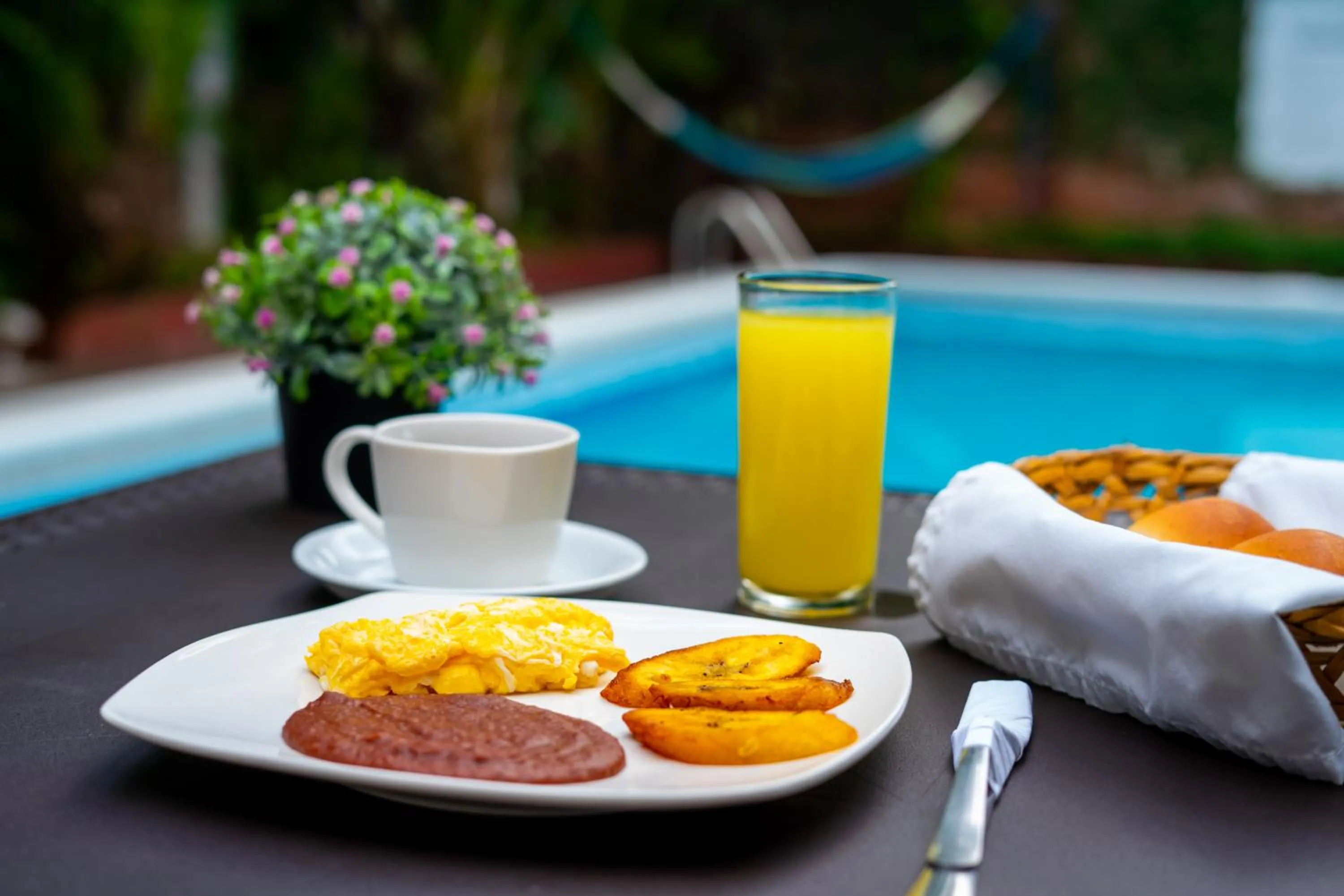 Food and drinks in Suites & Apartments San Benito - Zona Rosa