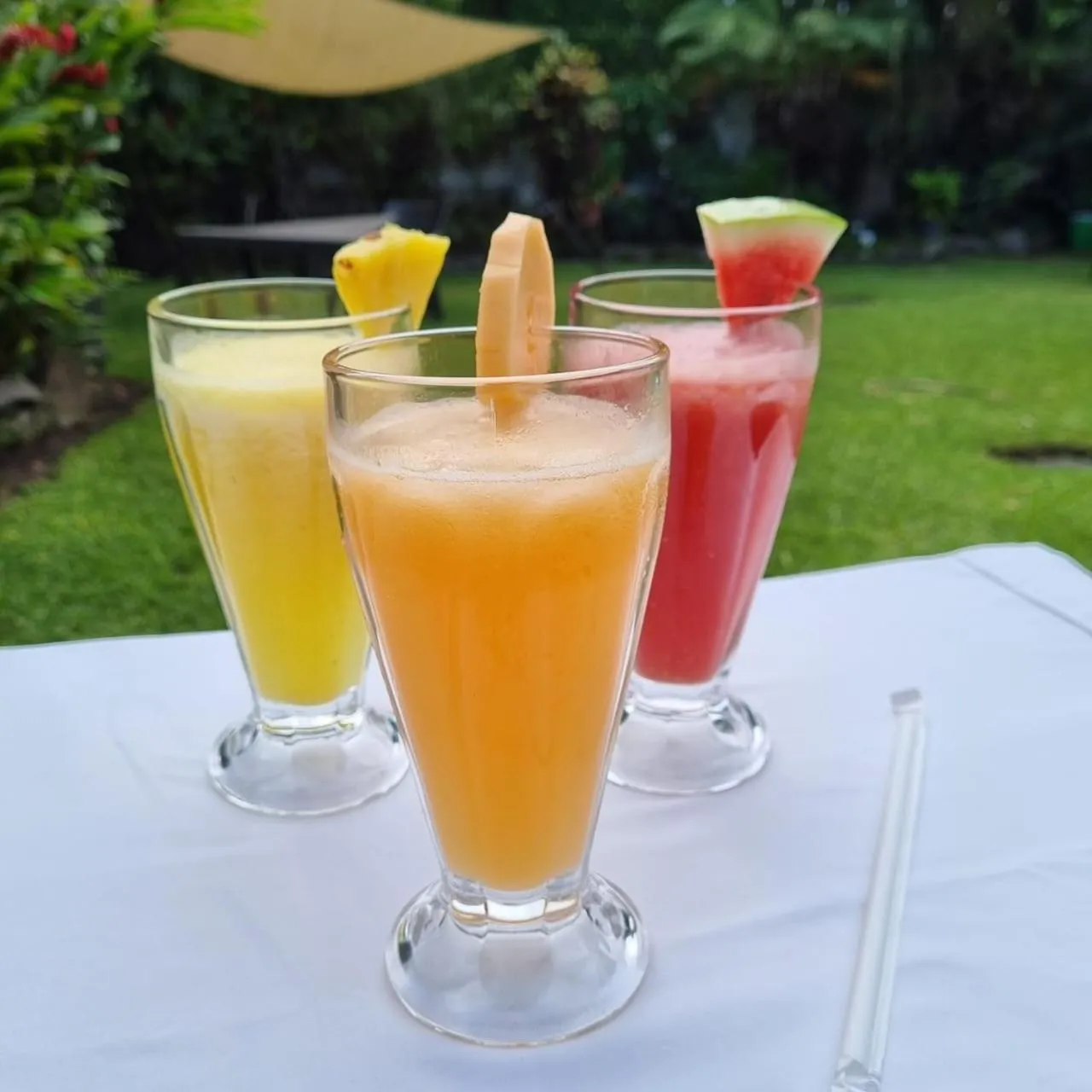 Restaurant/places to eat in Suites & Apartments San Benito - Zona Rosa