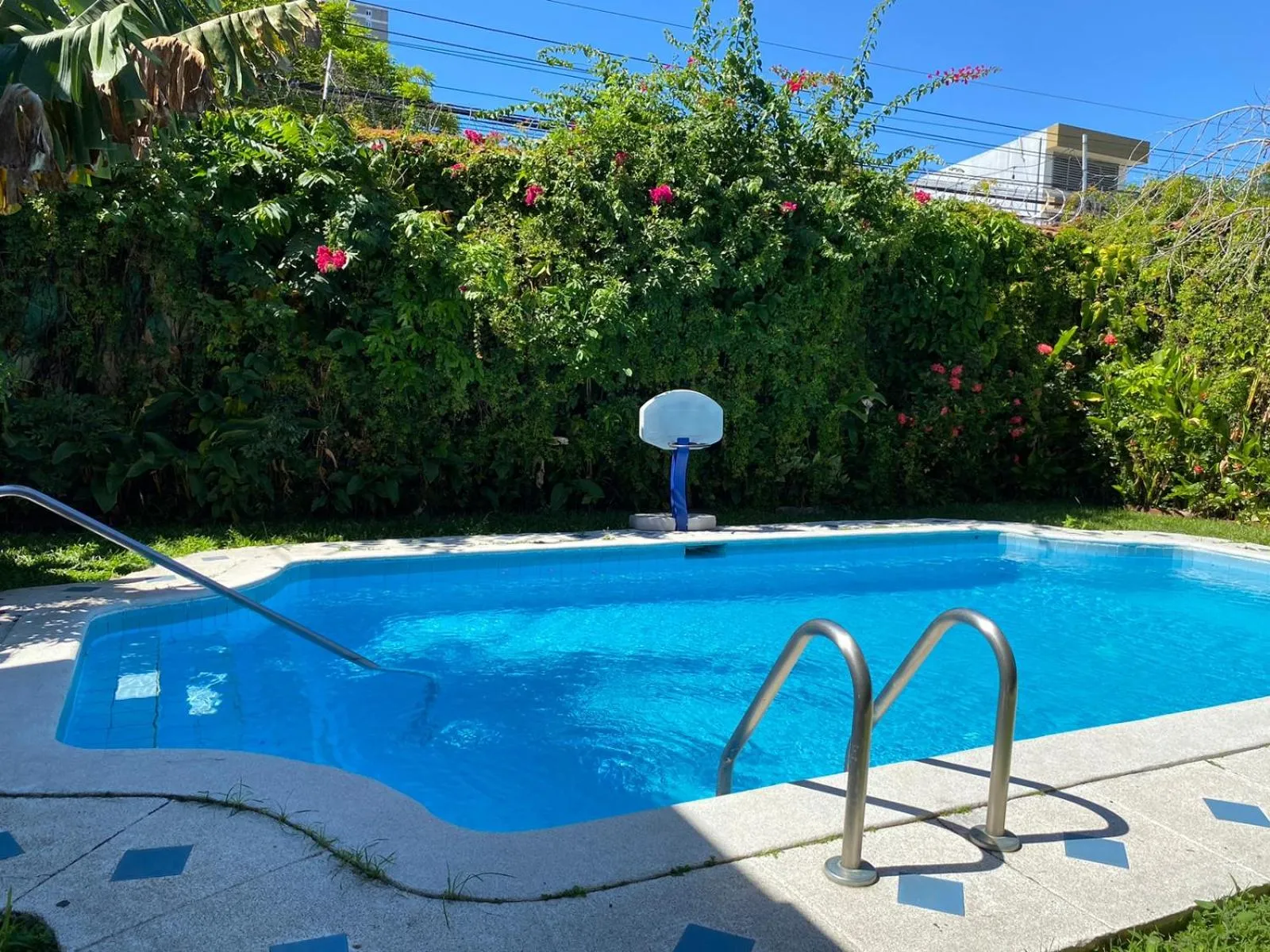 Swimming pool in Suites & Apartments San Benito - Zona Rosa