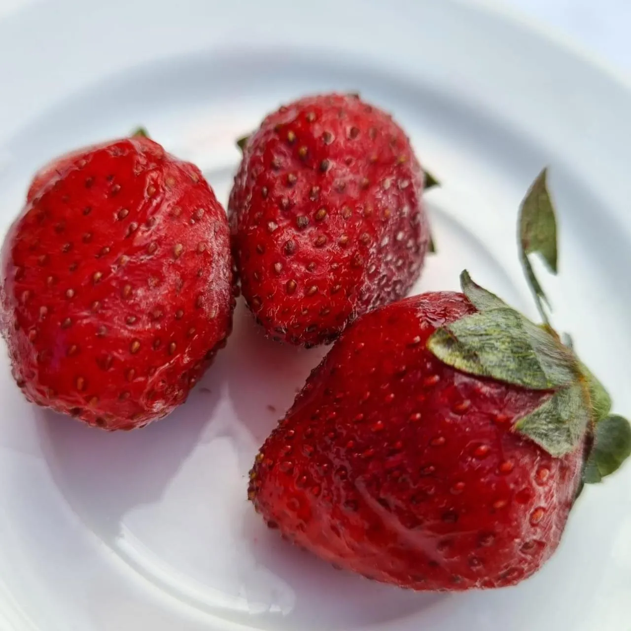 Restaurant/places to eat in Suites & Apartments San Benito - Zona Rosa