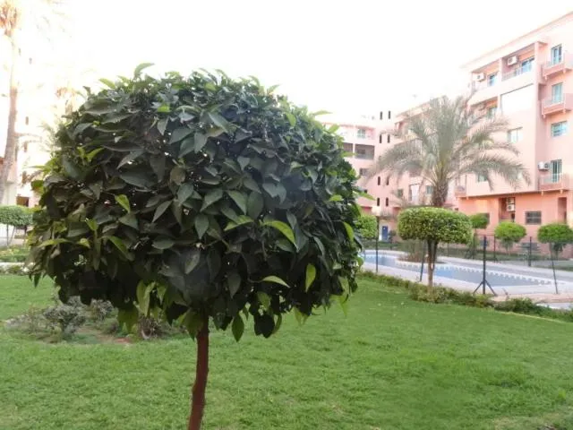 Manis Apartment Set in a Hotel Area