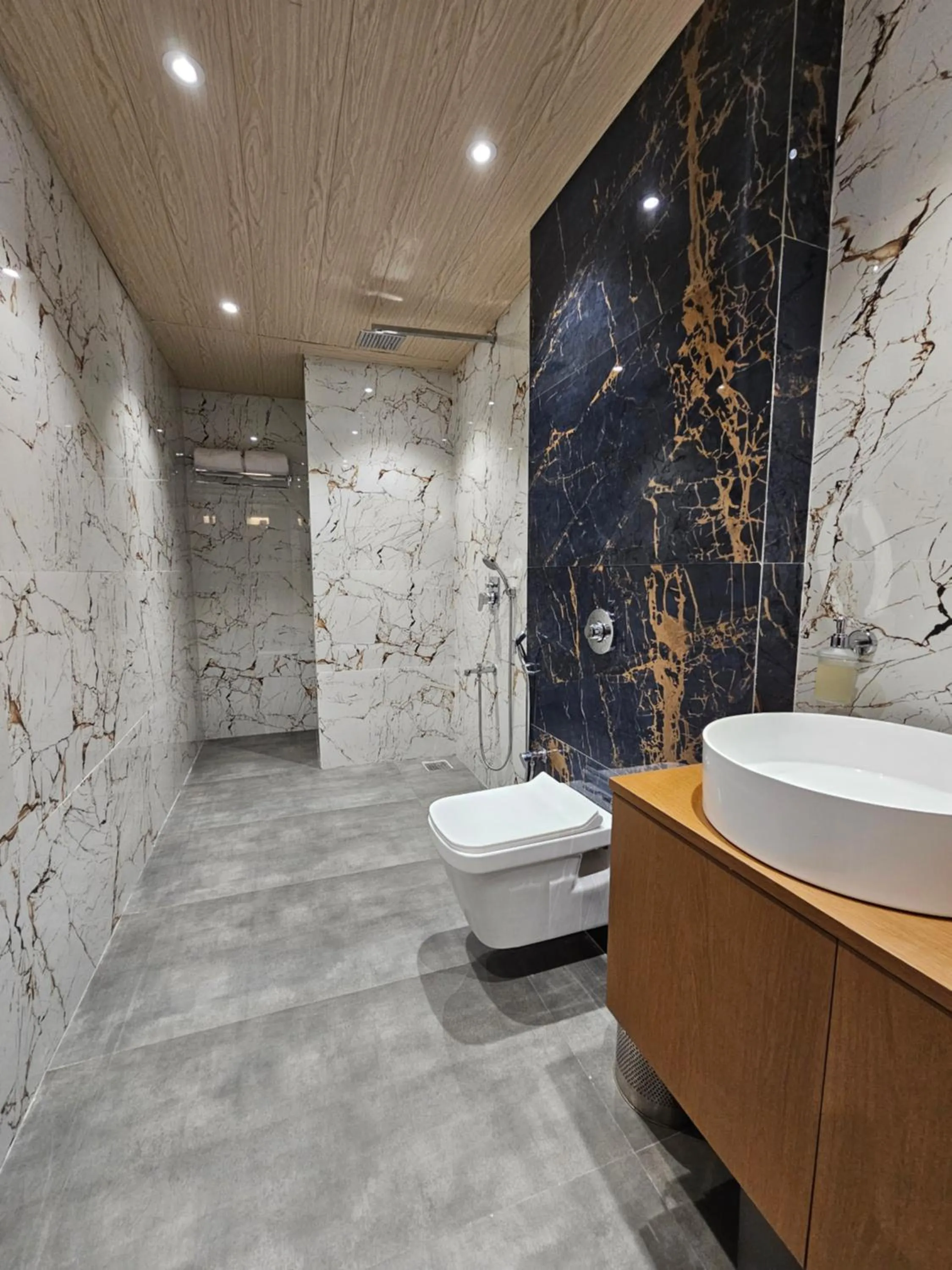 Shower in The S Crown Somnath