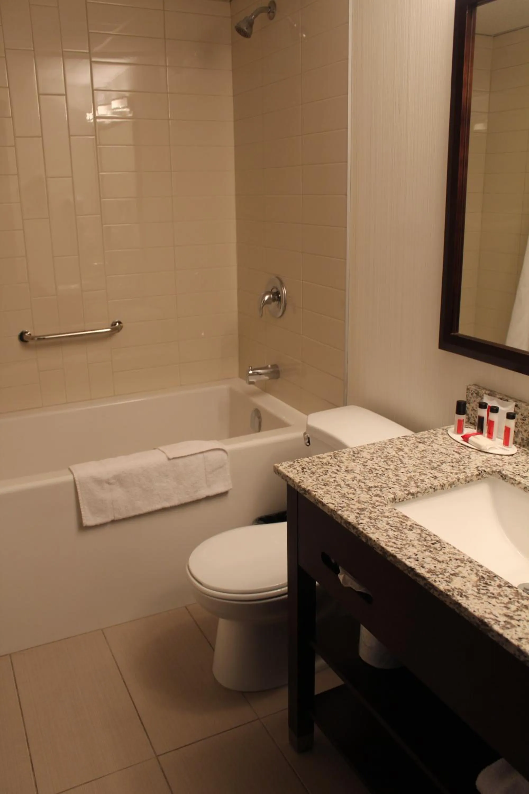 Toilet in Ramada Plaza by Wyndham Regina Downtown