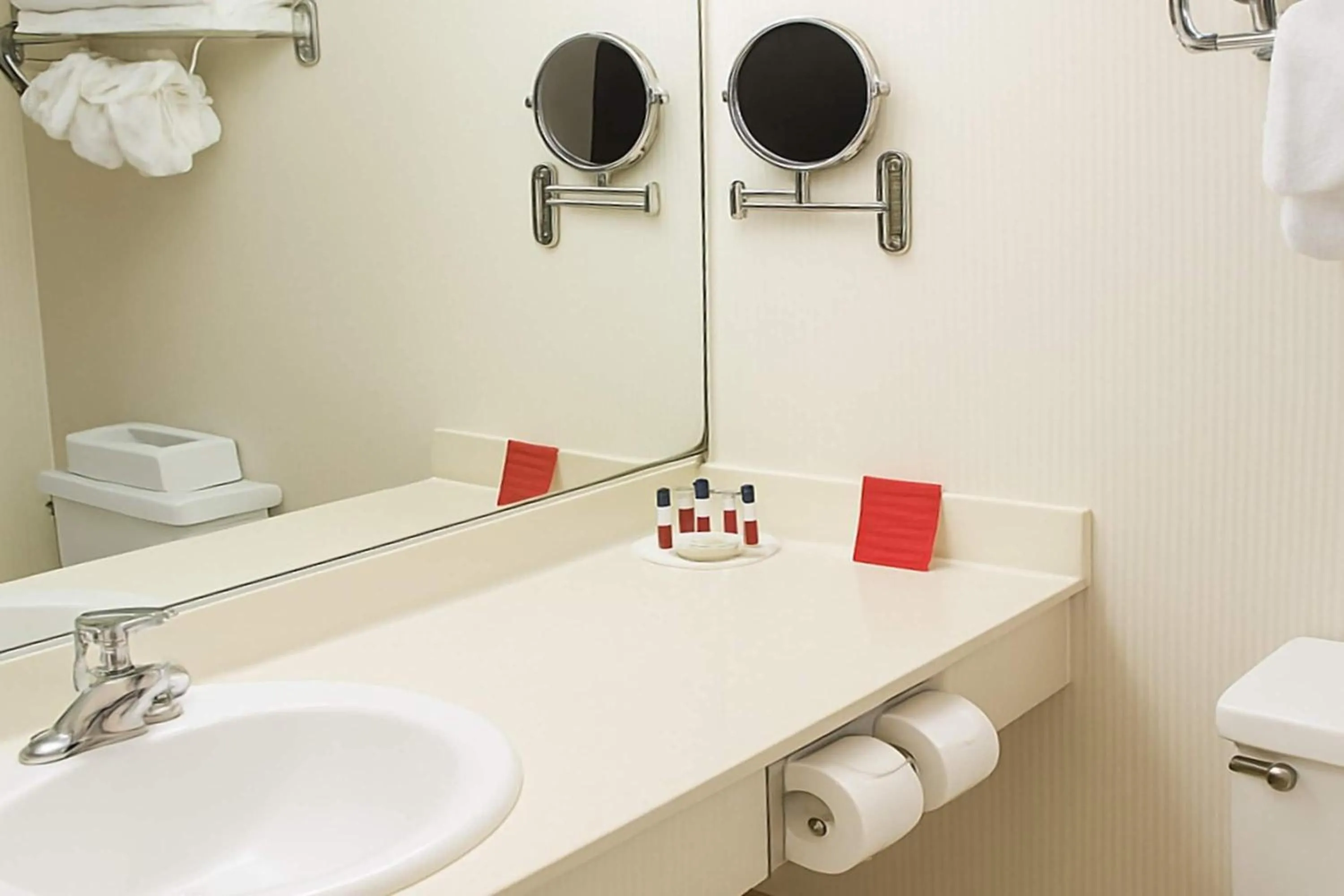 Bathroom in Ramada Plaza by Wyndham Regina Downtown