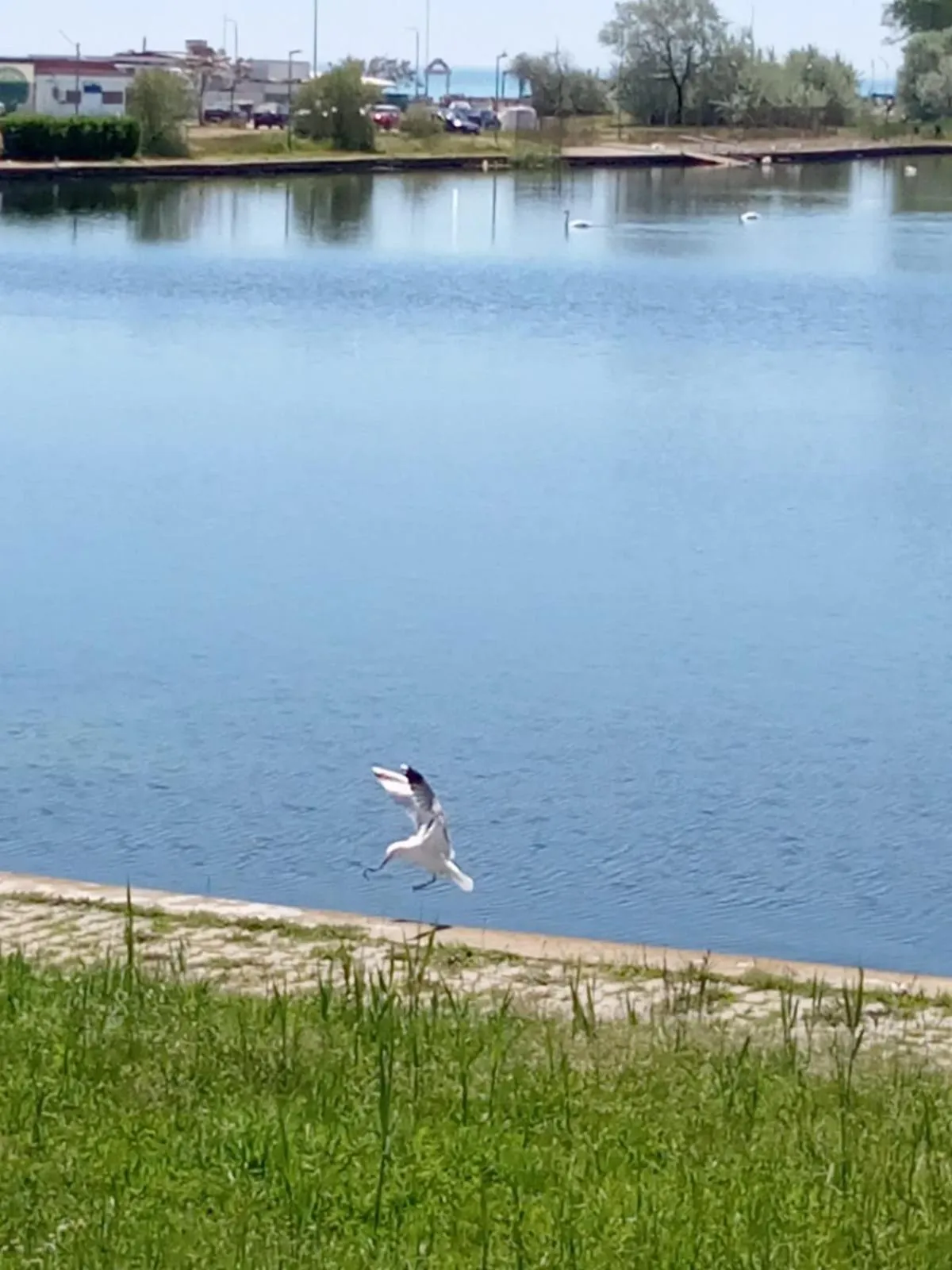 View (from property/room) in Hotel Tomis Neptun