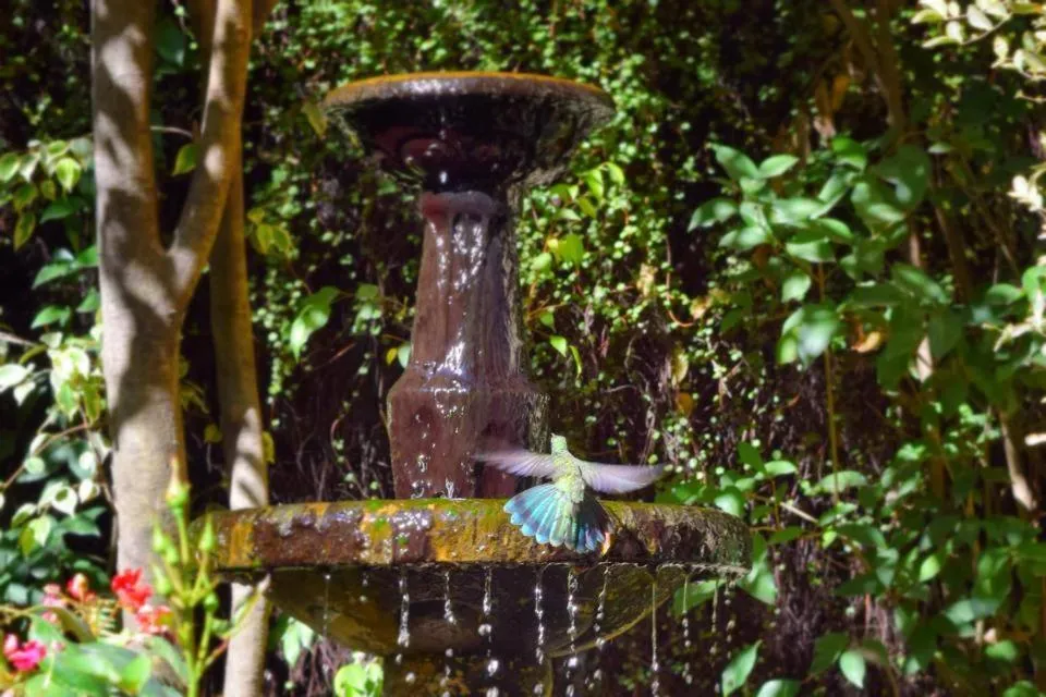 Garden in Hotel Aranjuez Cochabamba