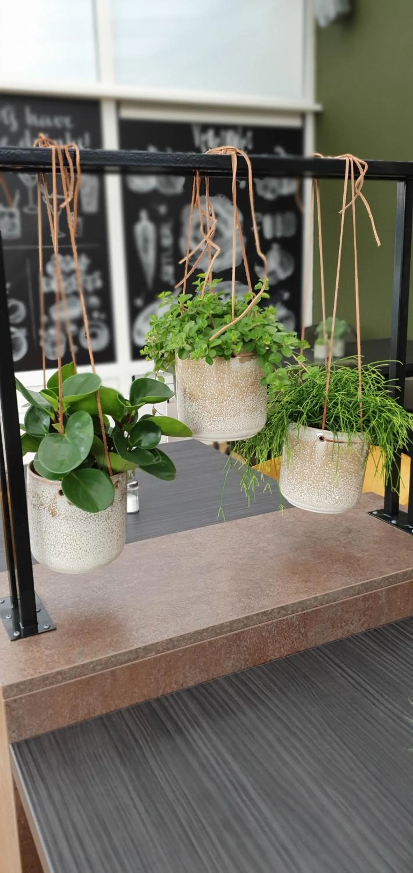 Restaurant/places to eat in Giethoorn Old Art Hotel