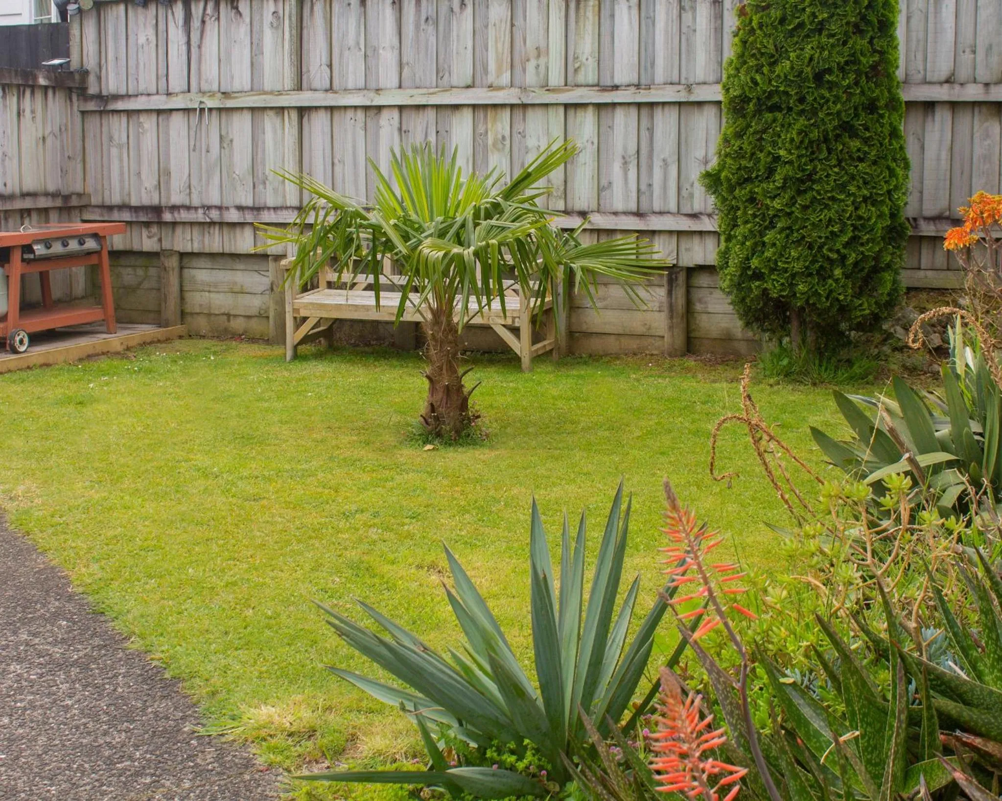 Garden in Palm Motel Waihi