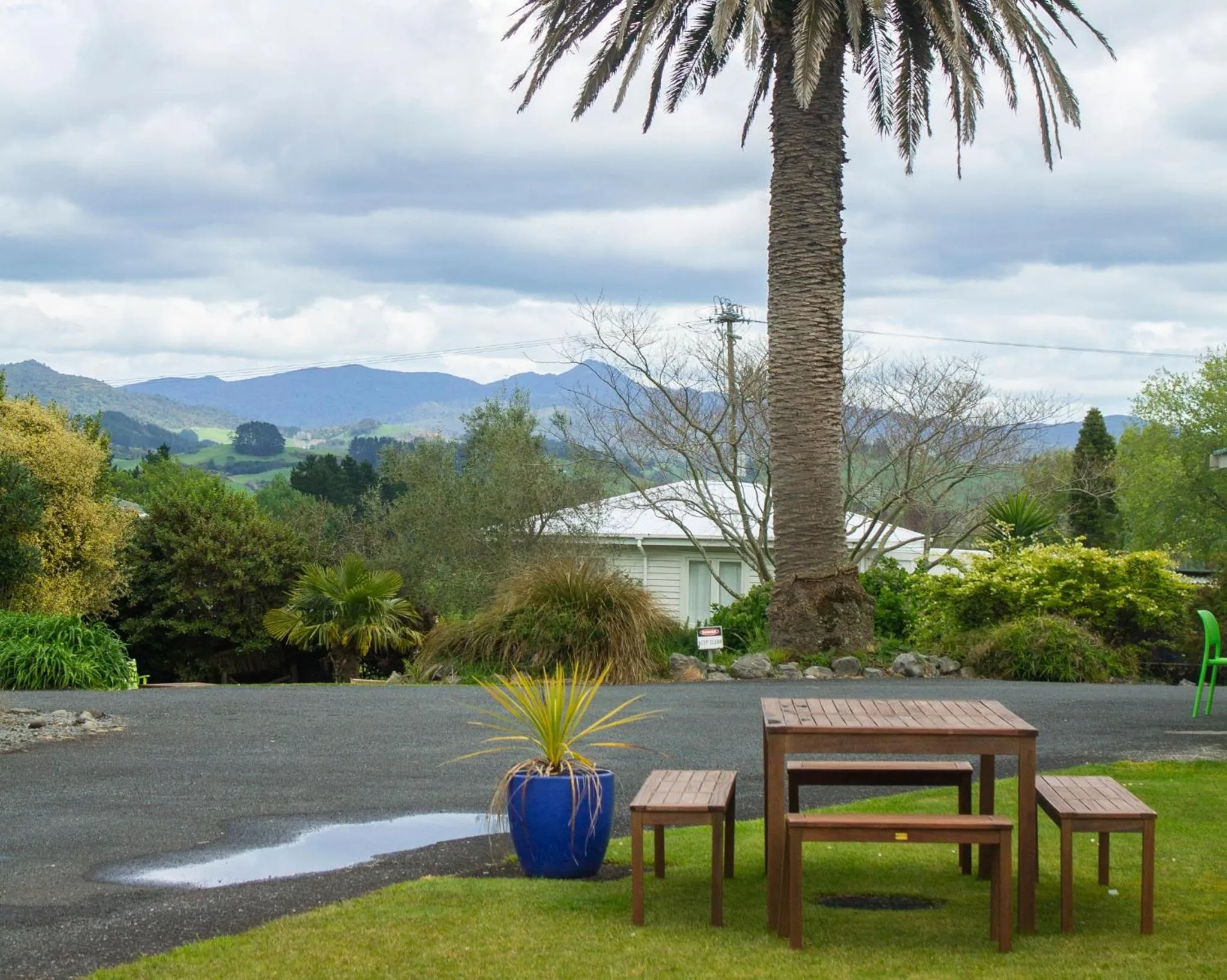 Garden in Palm Motel Waihi