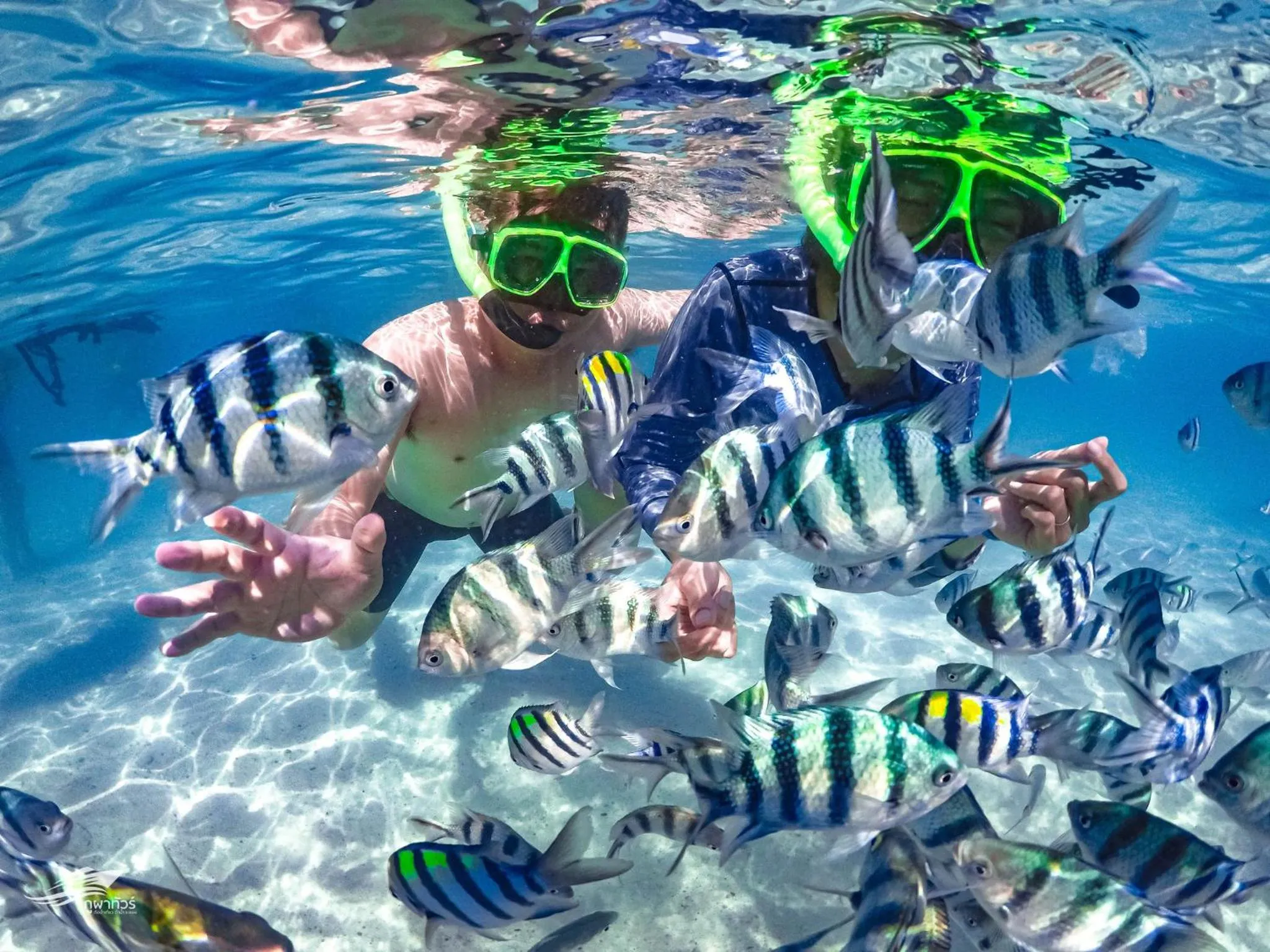 Activities in PHUPA BEACH Resort