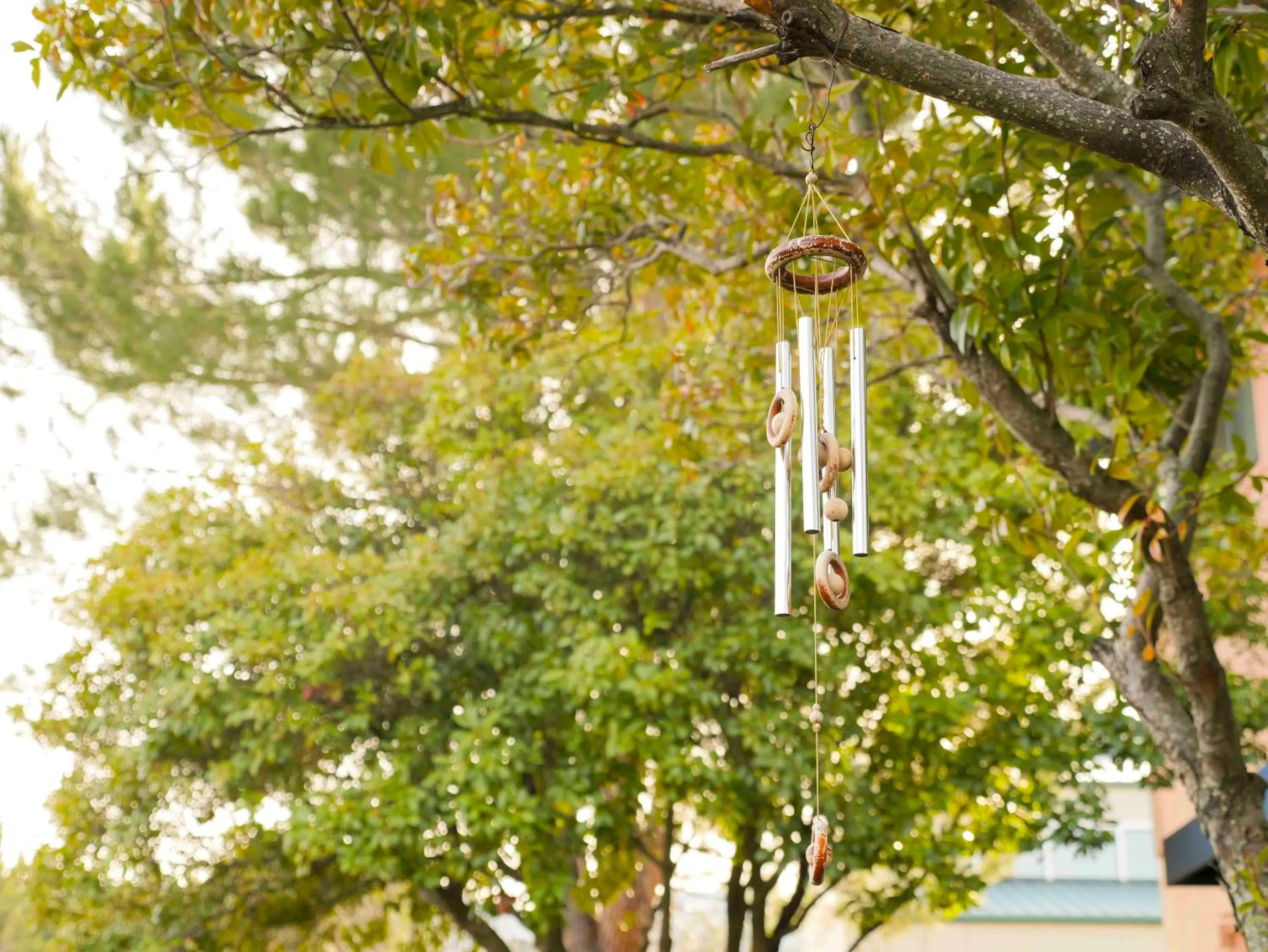 Ashland Commons Hostel