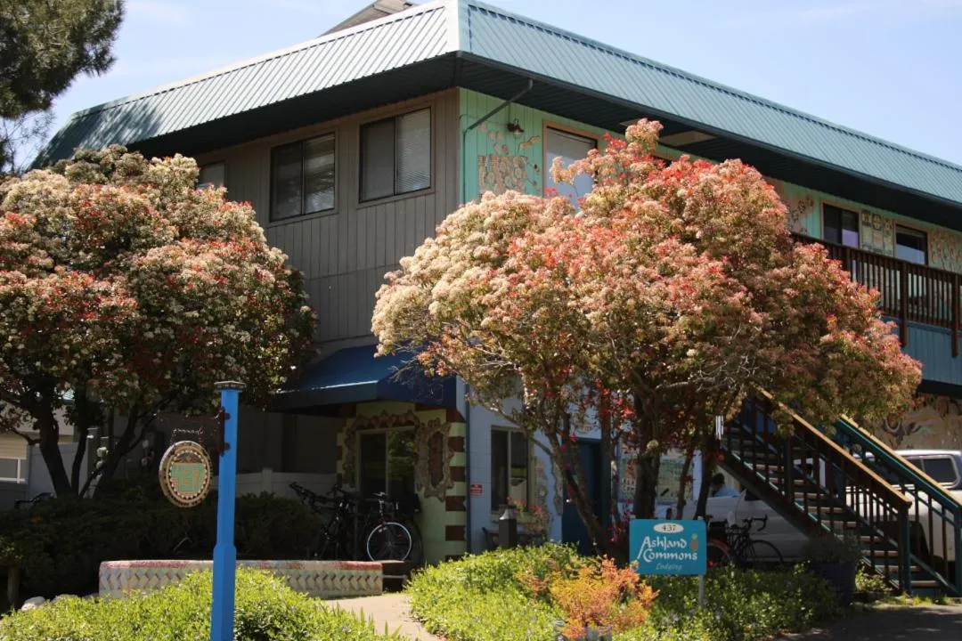 Property building in Ashland Commons Hostel