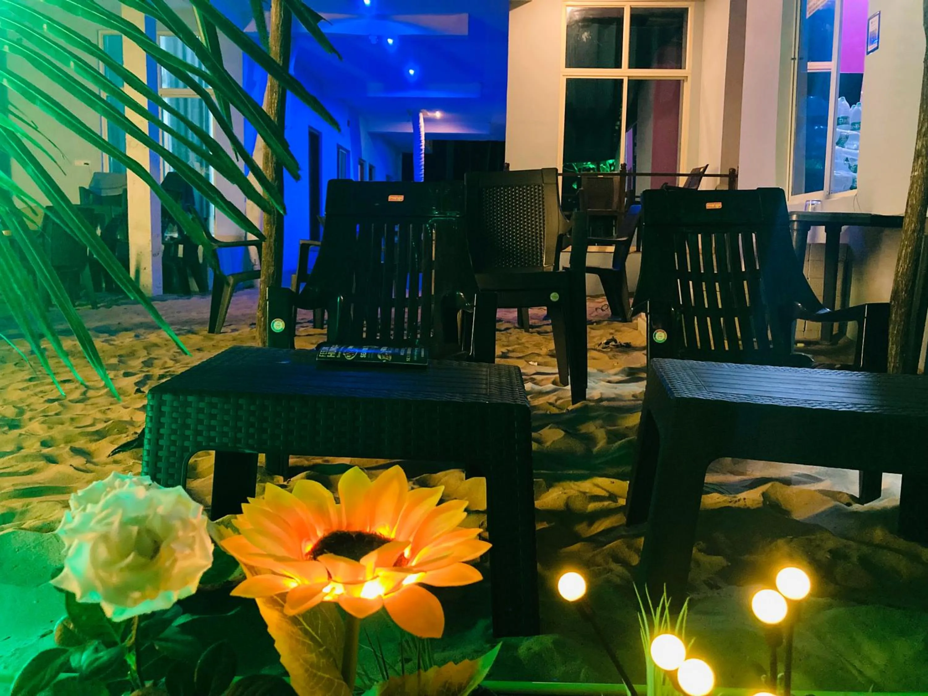 Garden view in Oceanic Stay And Restaurant Gokarna