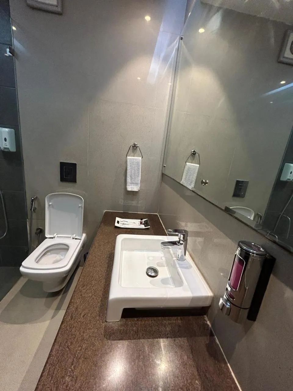 Toilet in Tivoli Heritage Palace, Rewari