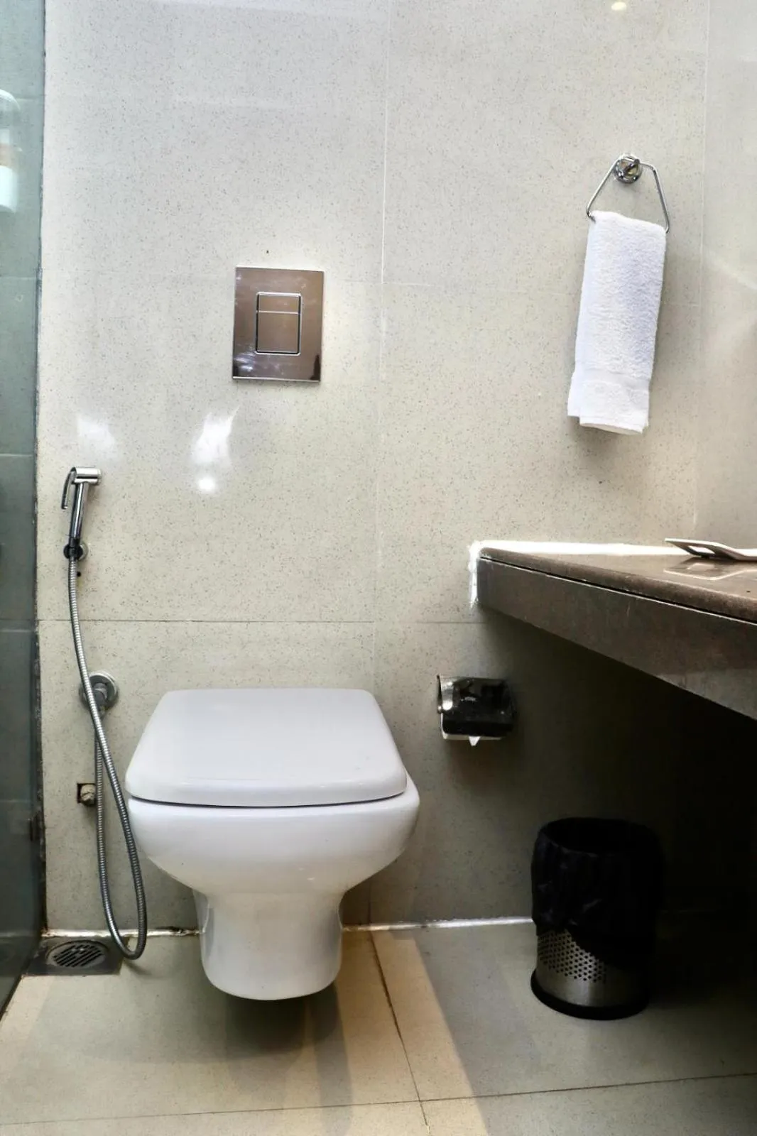 Toilet in Tivoli Heritage Palace, Rewari