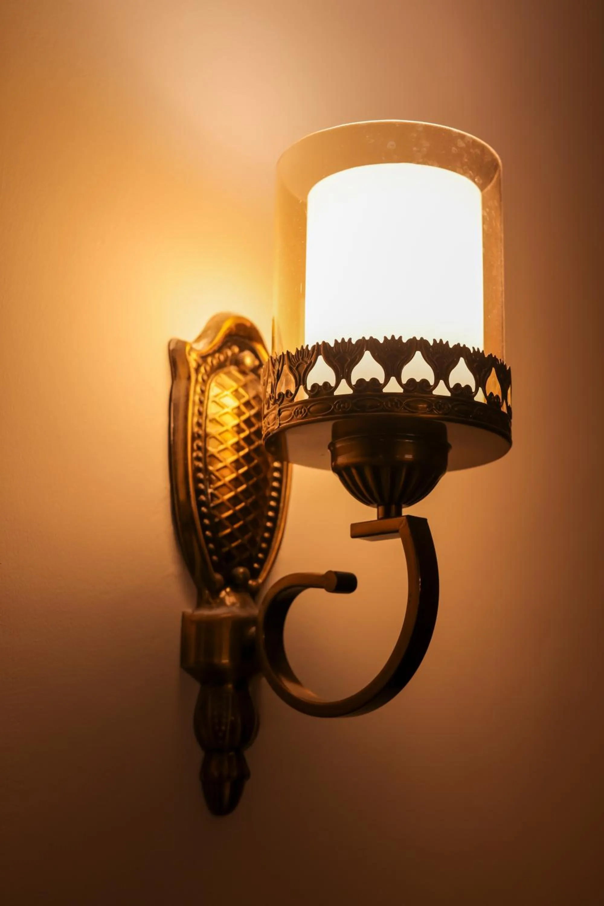 Decorative detail in Tivoli Heritage Palace, Rewari