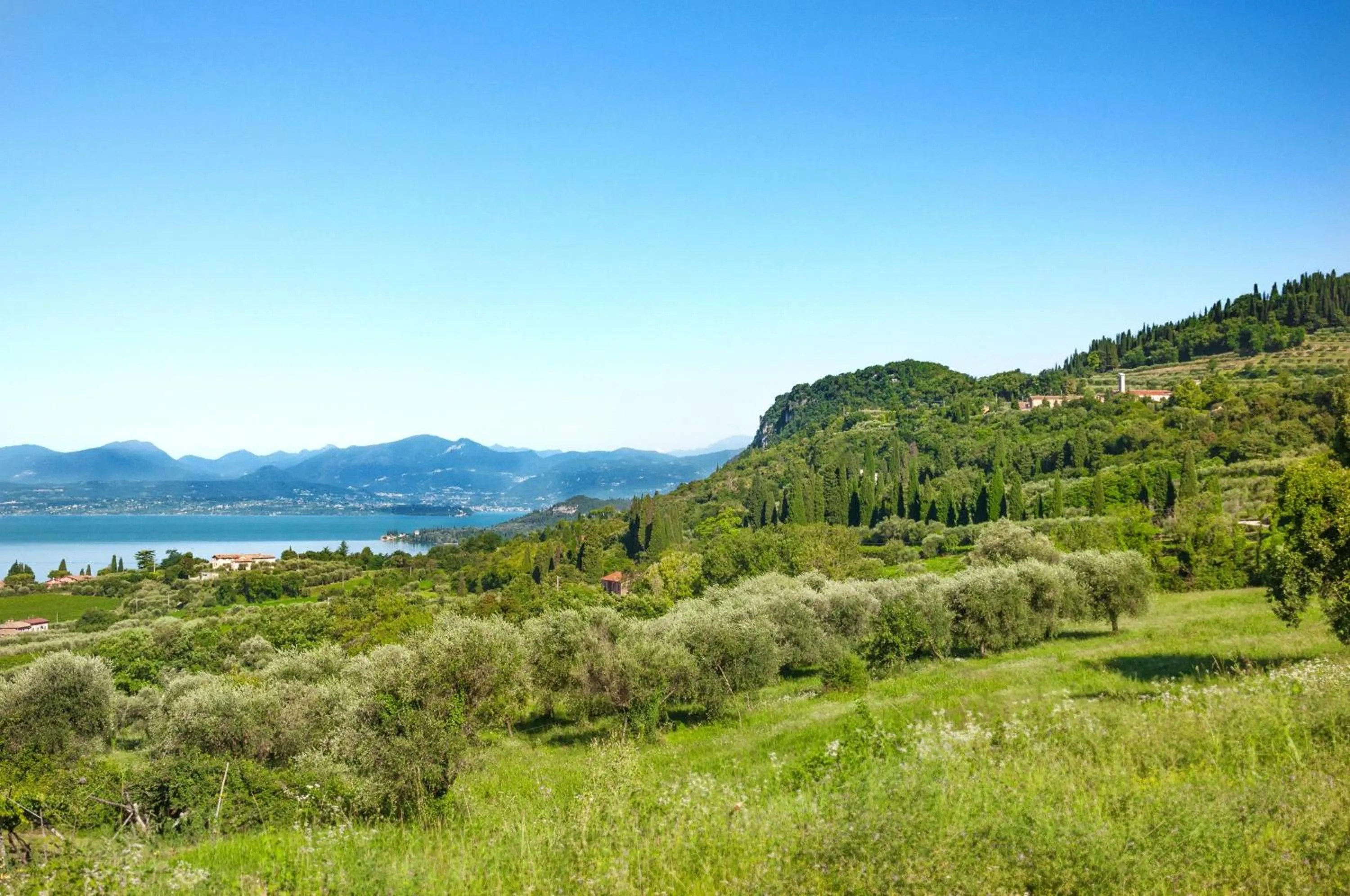 Nearby landmark in Prati Palai