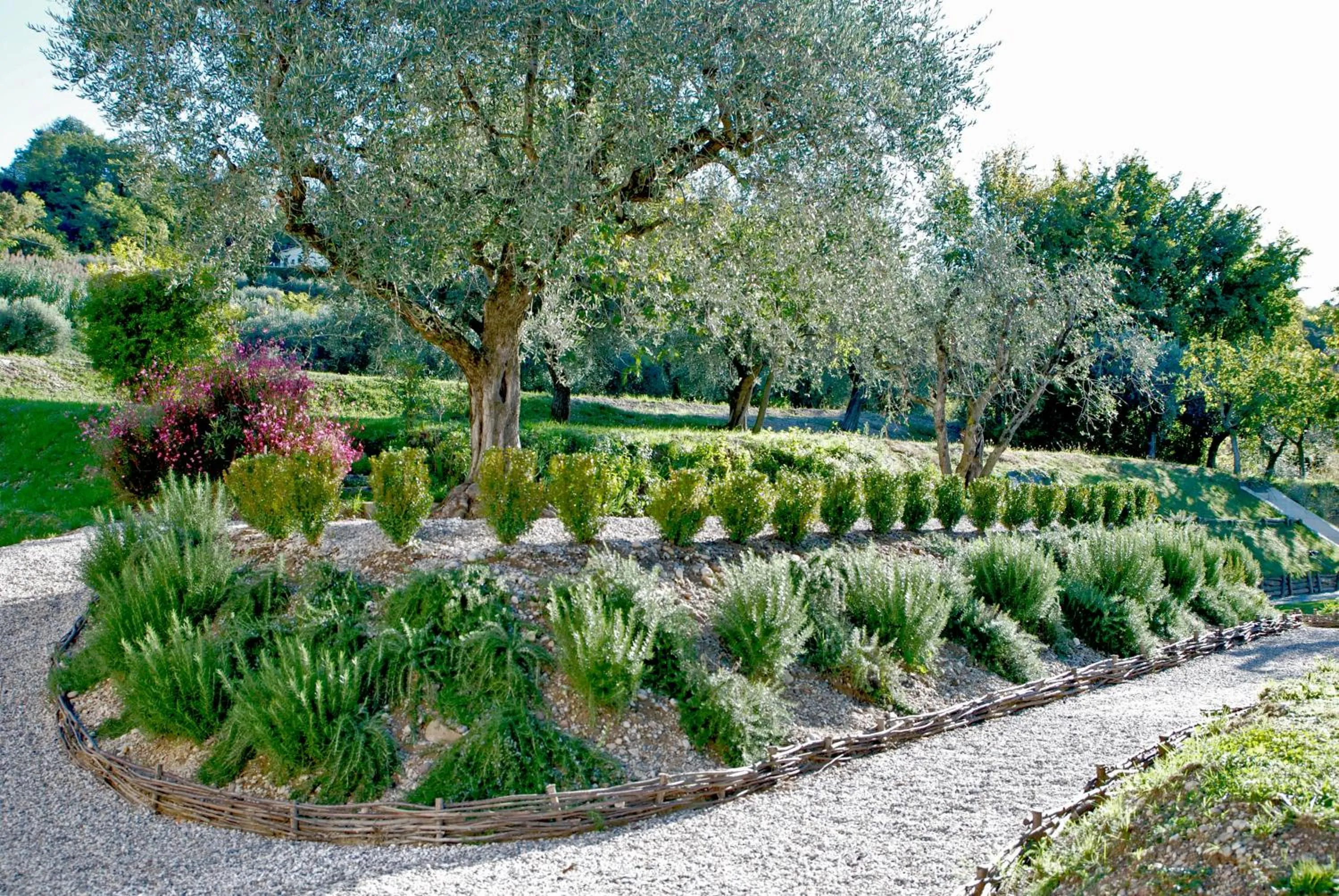 Spring in Prati Palai