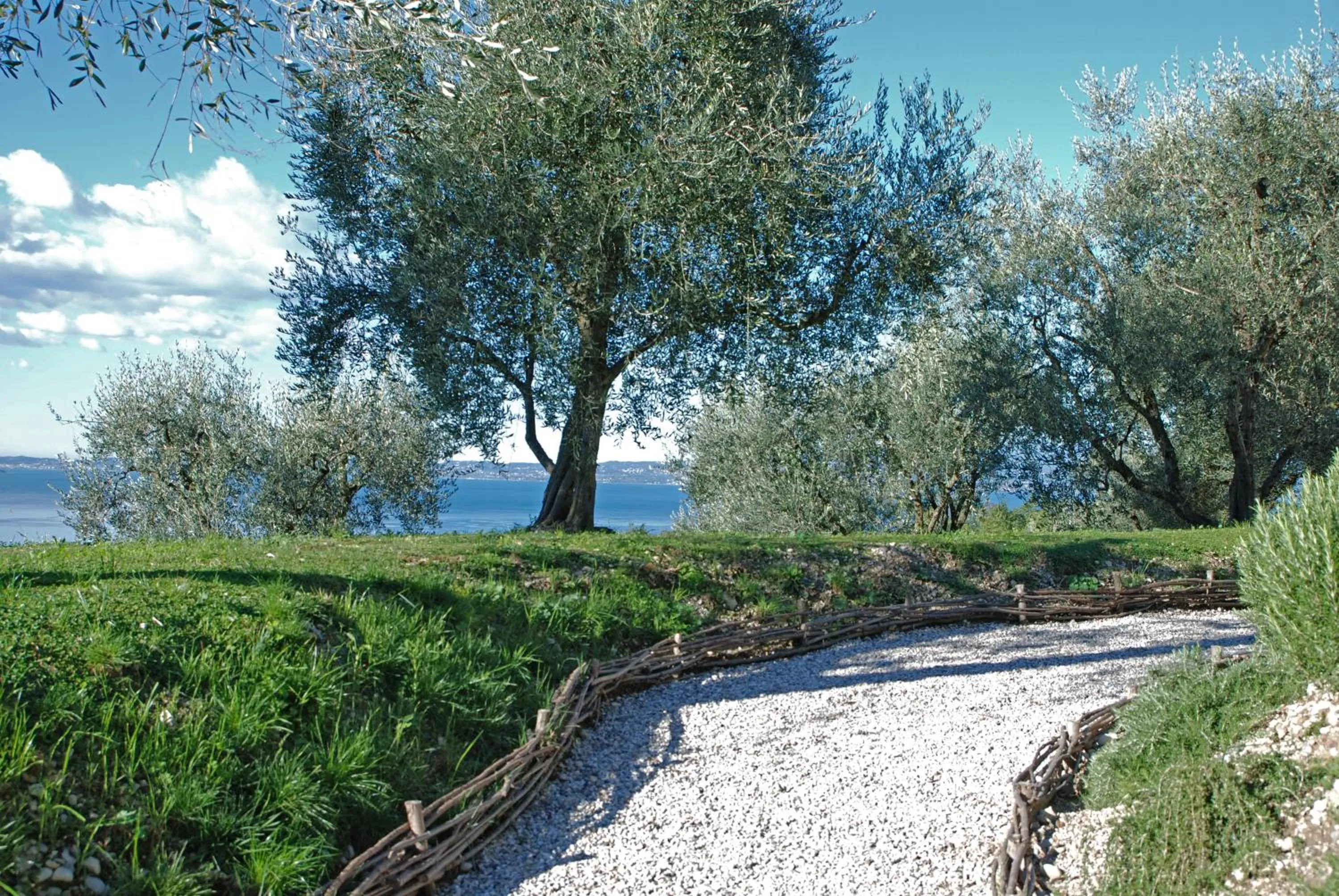 Natural landscape in Prati Palai