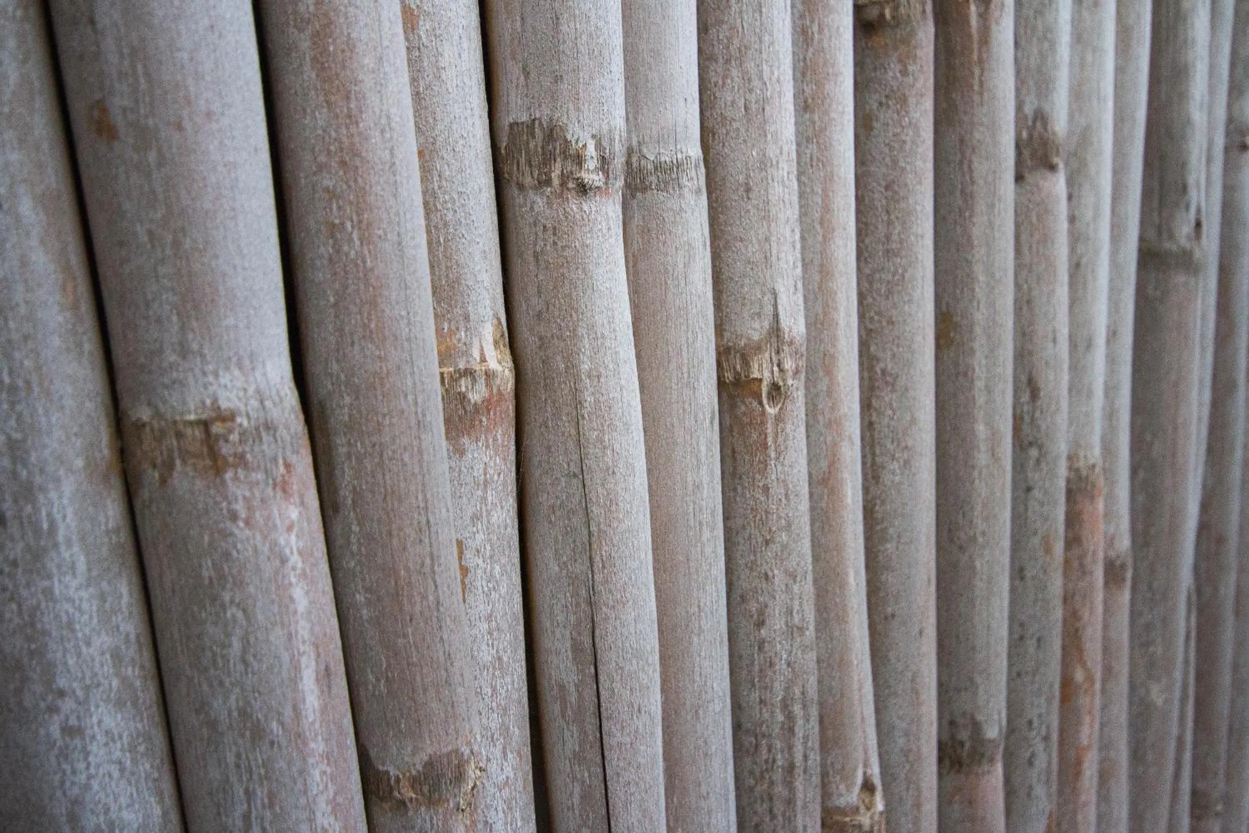 Property building in Little Rock Guesthouse