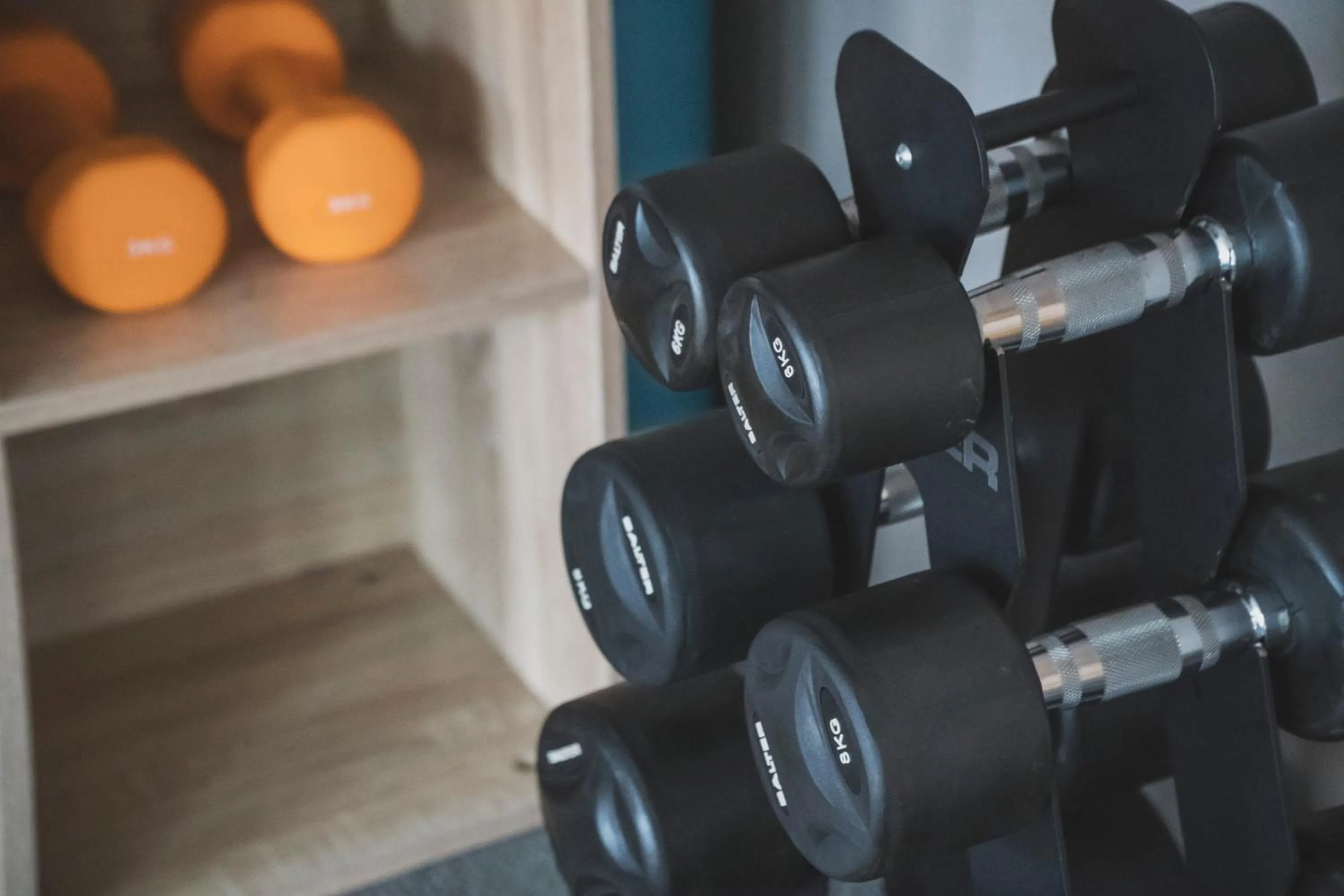 Fitness centre/facilities in Zenit San Sebastián