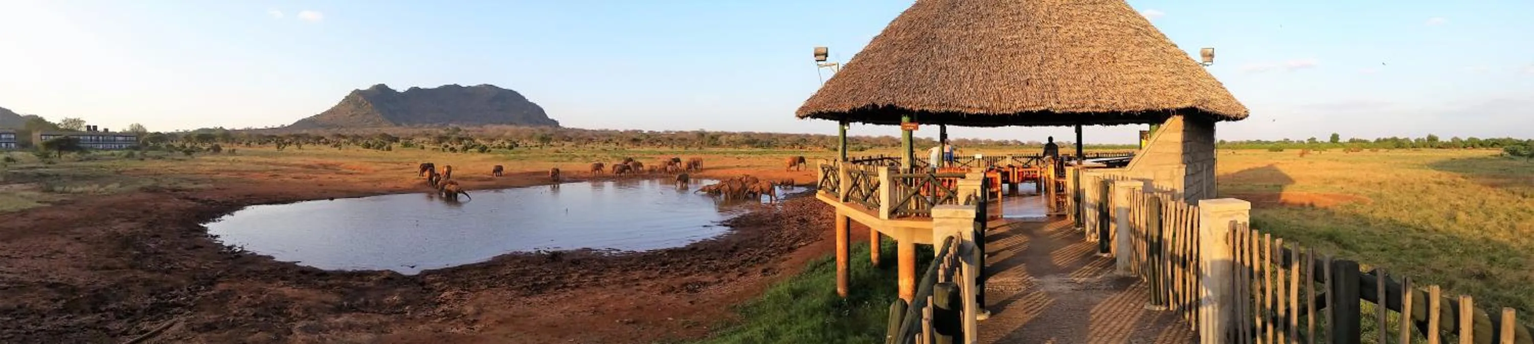 View (from property/room) in Voi Wildlife Lodge