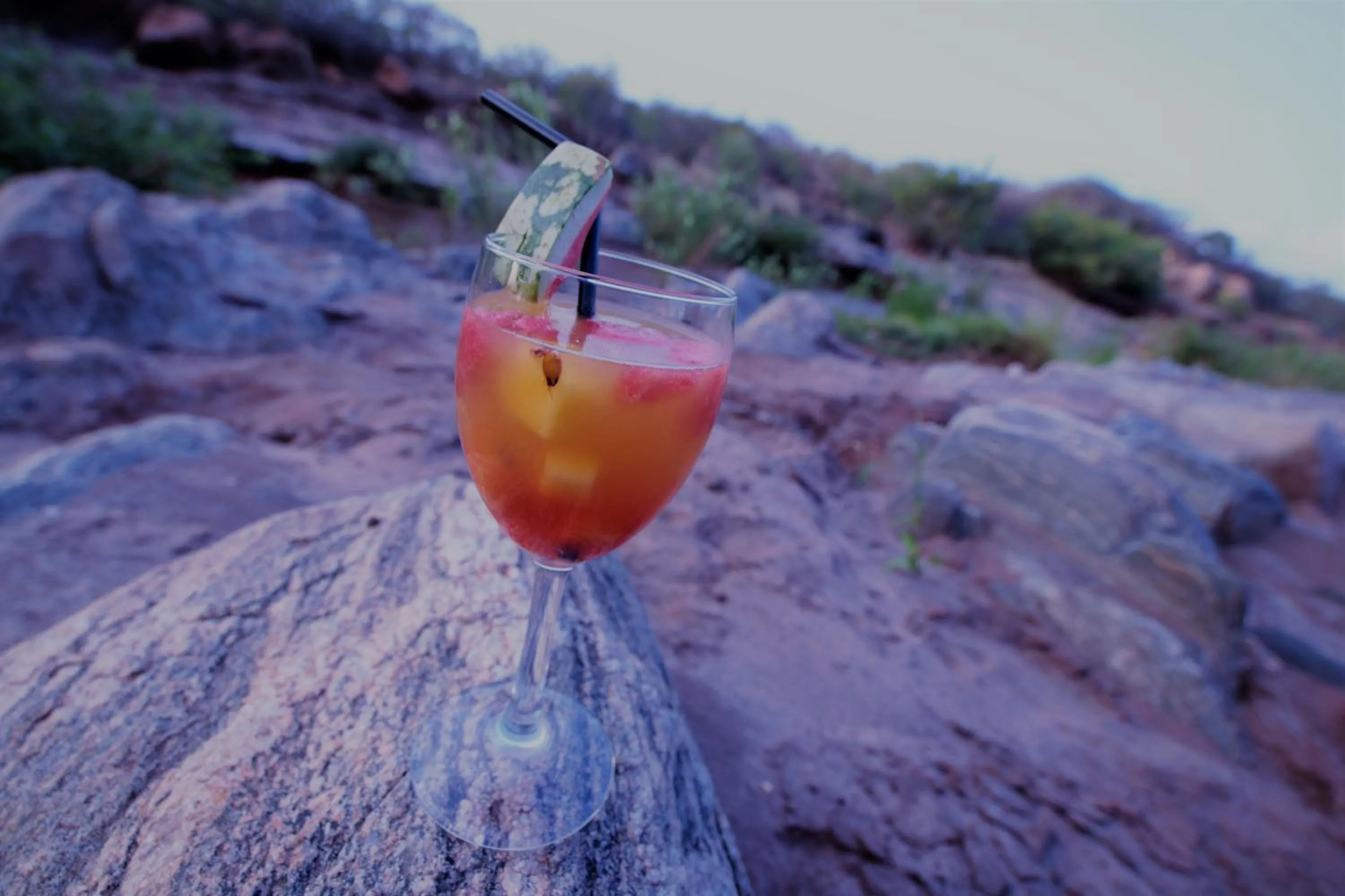 View (from property/room) in Voi Wildlife Lodge