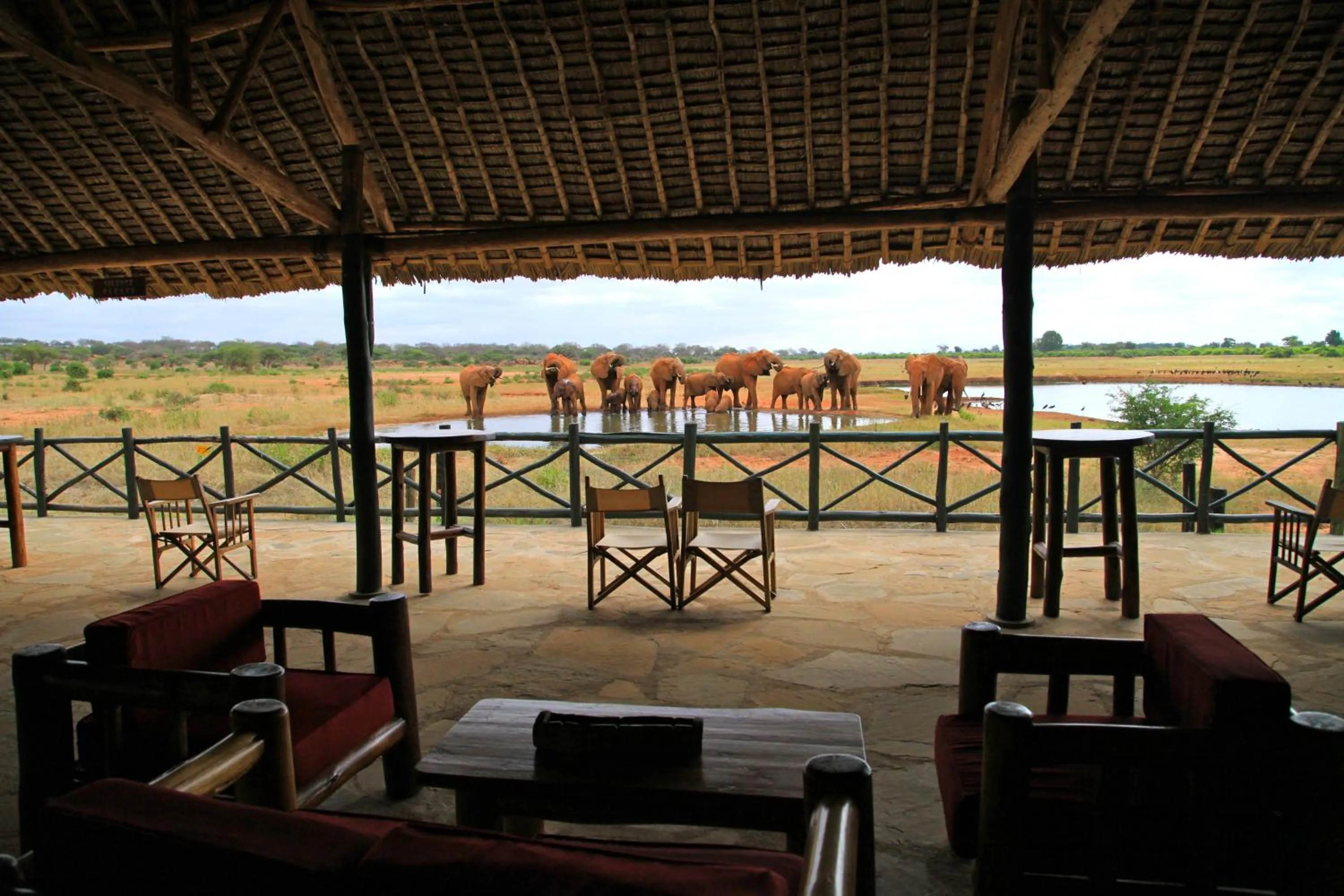 Balcony/Terrace in Voi Wildlife Lodge