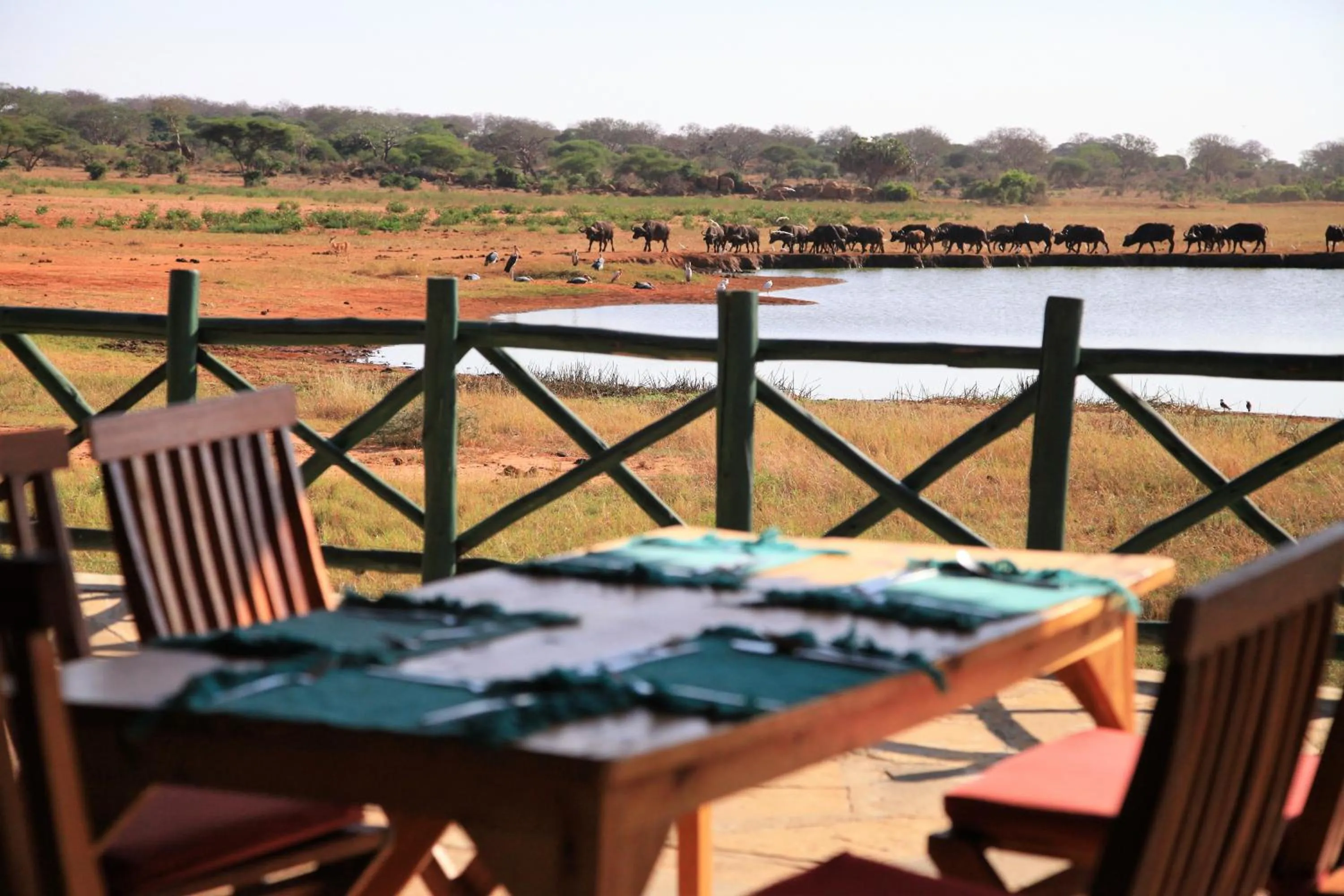 View (from property/room) in Voi Wildlife Lodge